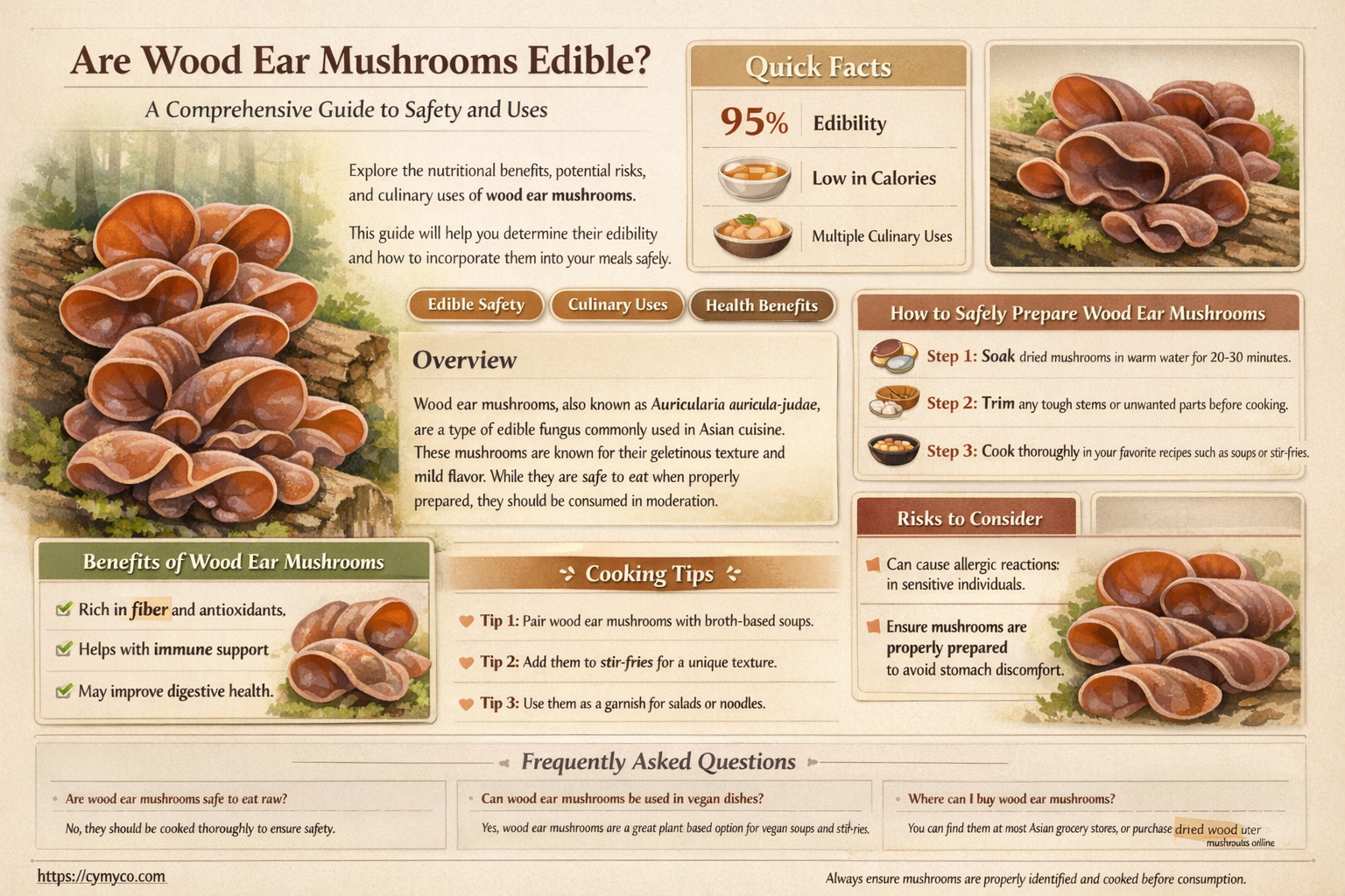 are wood ear mushrooms edible