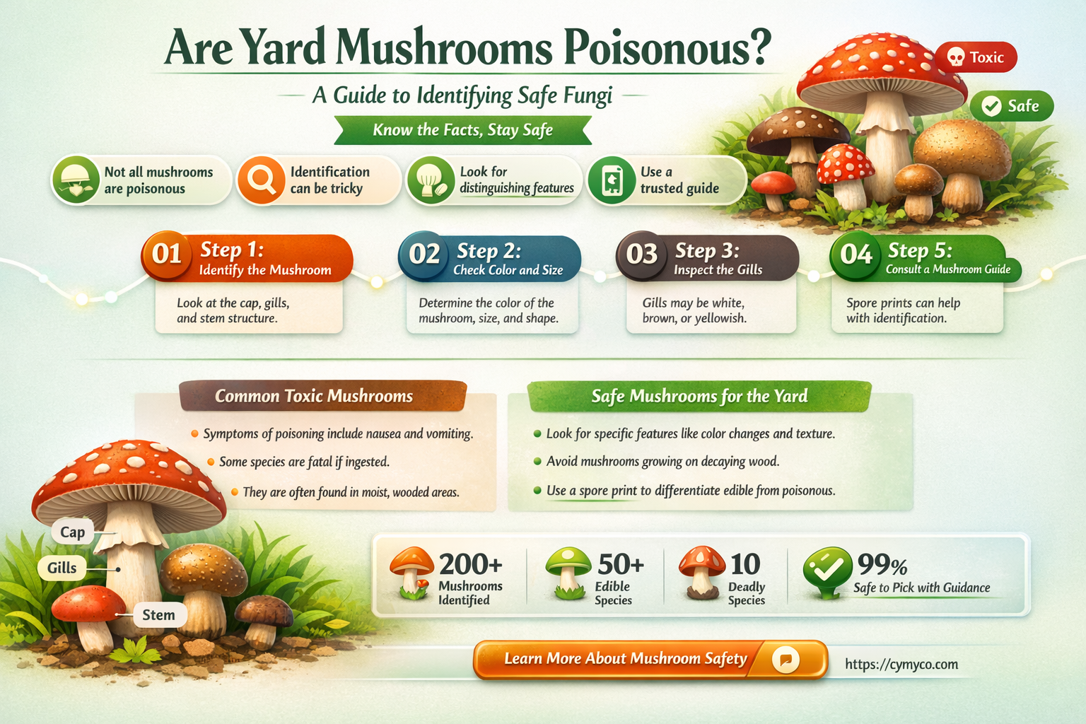 are yard mushrooms poisonous