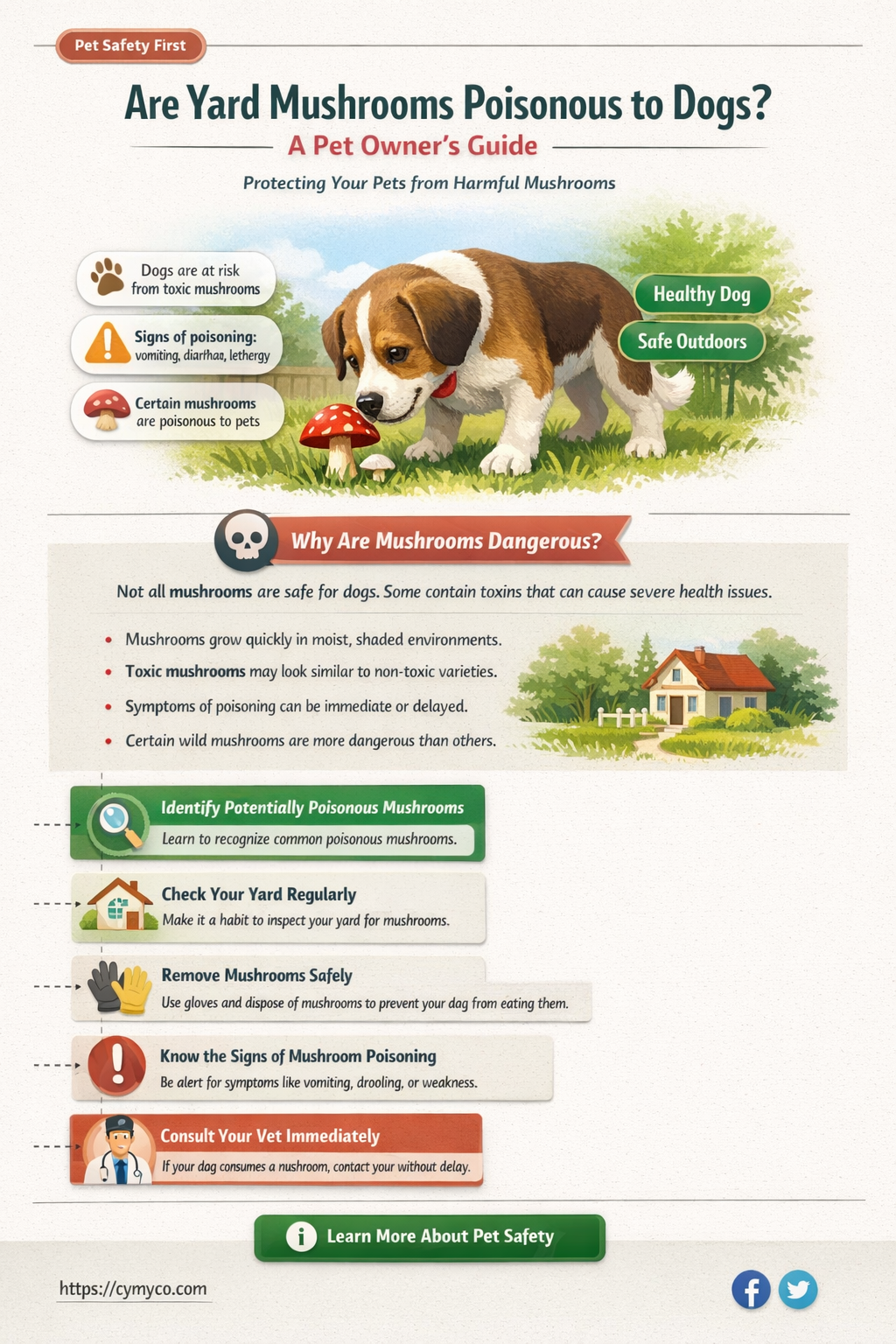 are yard mushrooms poisonous to dogs