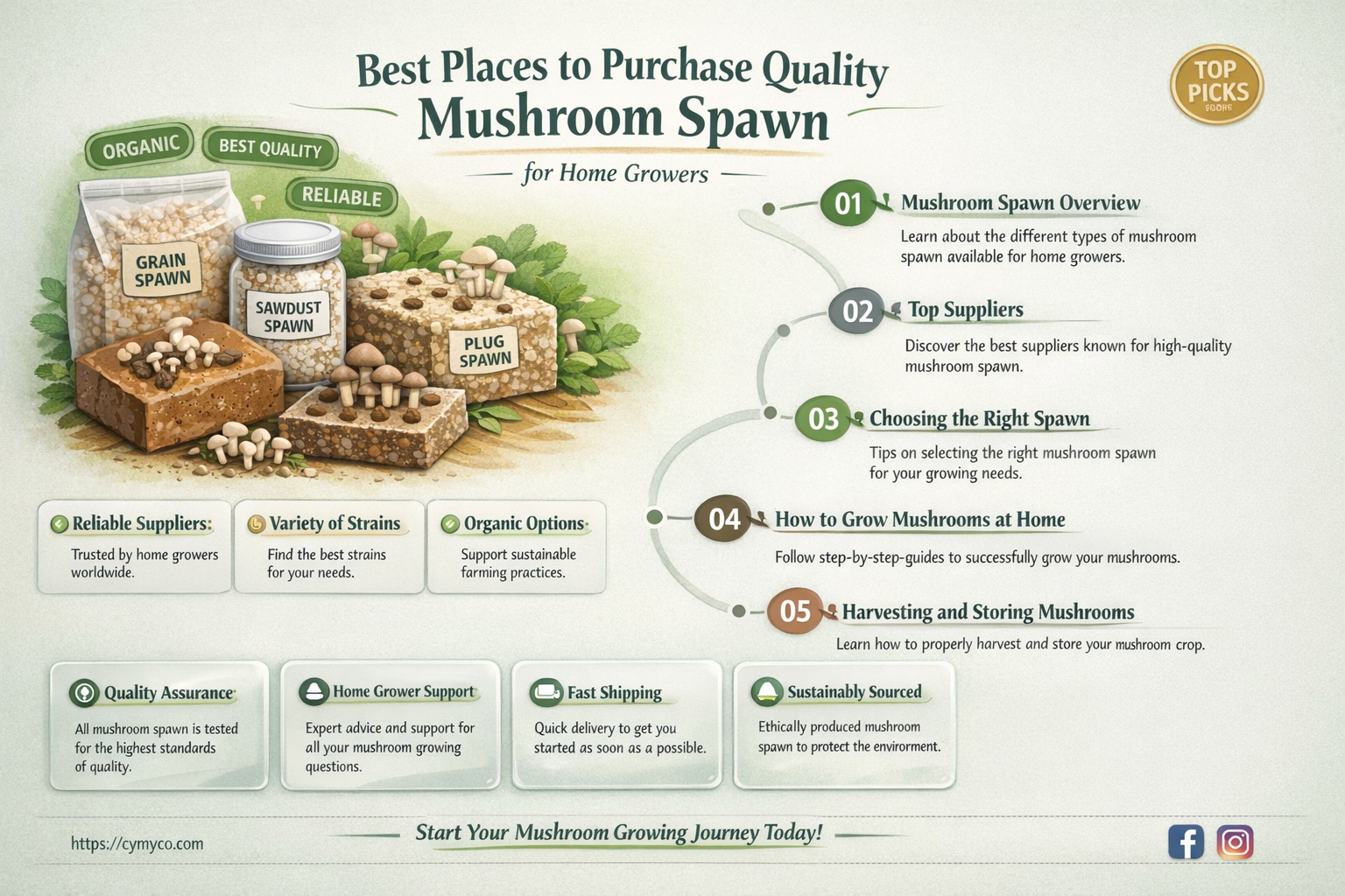 where to buy mushroom spawn