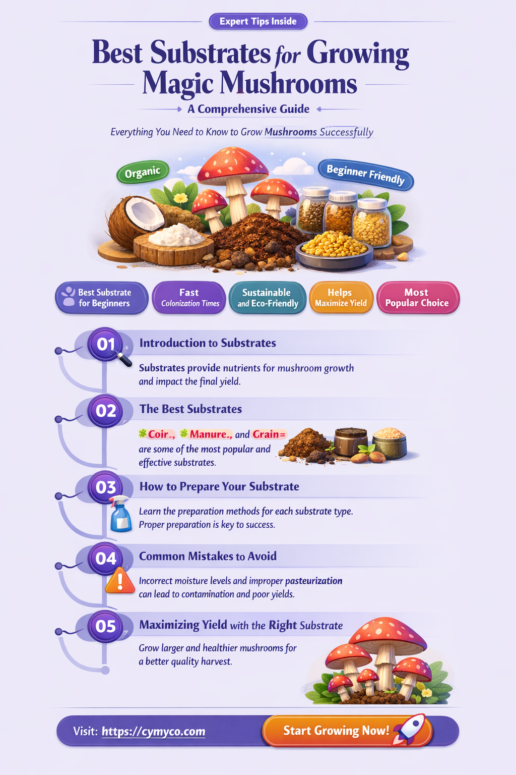 what to grow magic mushrooms in