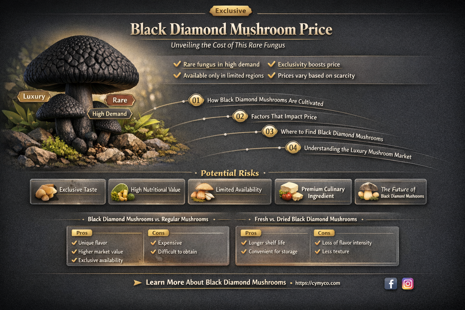 how much is black diamond mushroom
