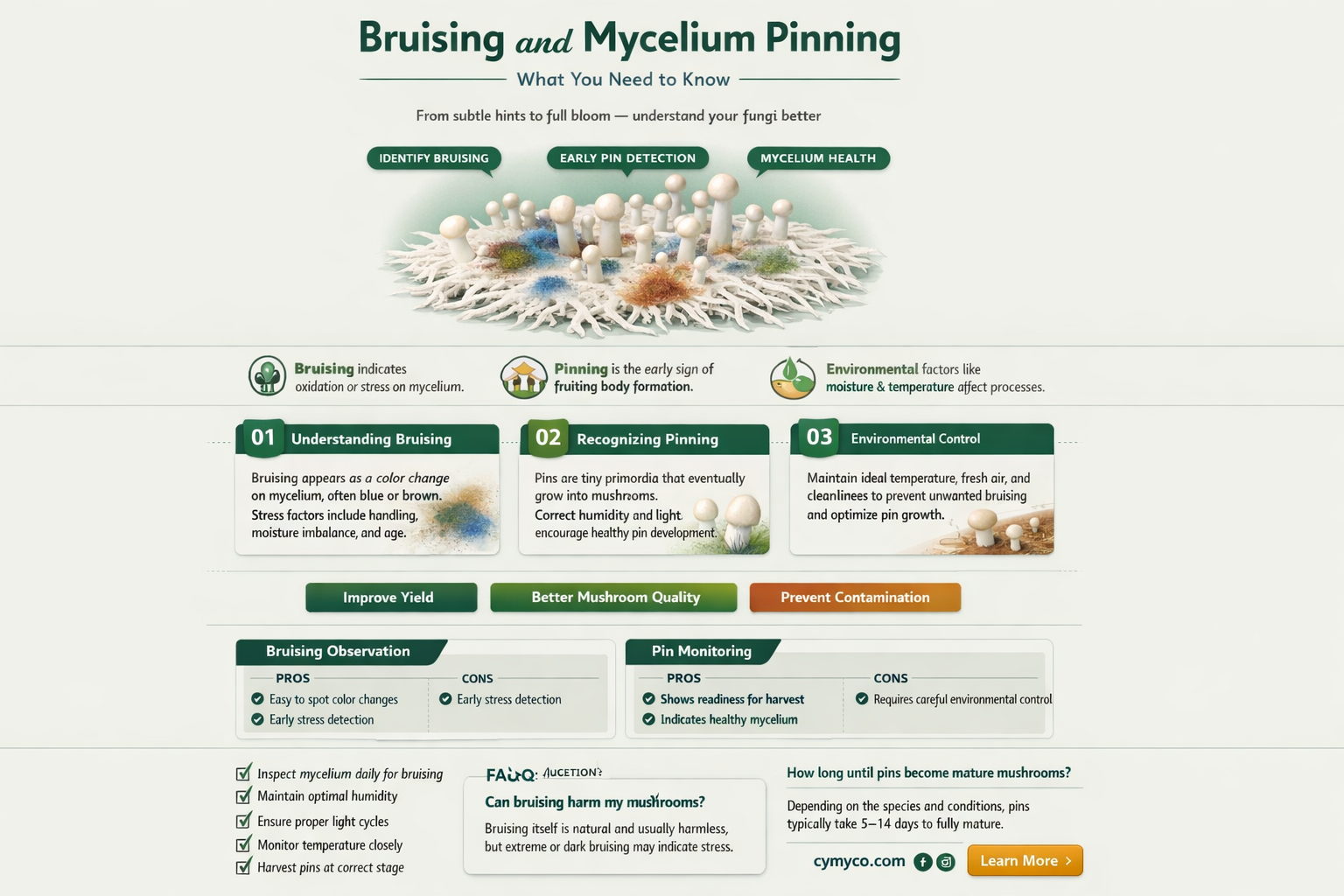 can bruising delay mycelium pinning