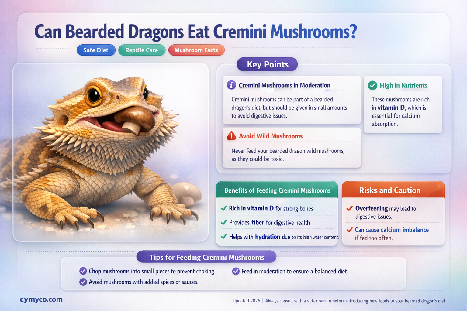 can bearded dragons have cremini mushrooms