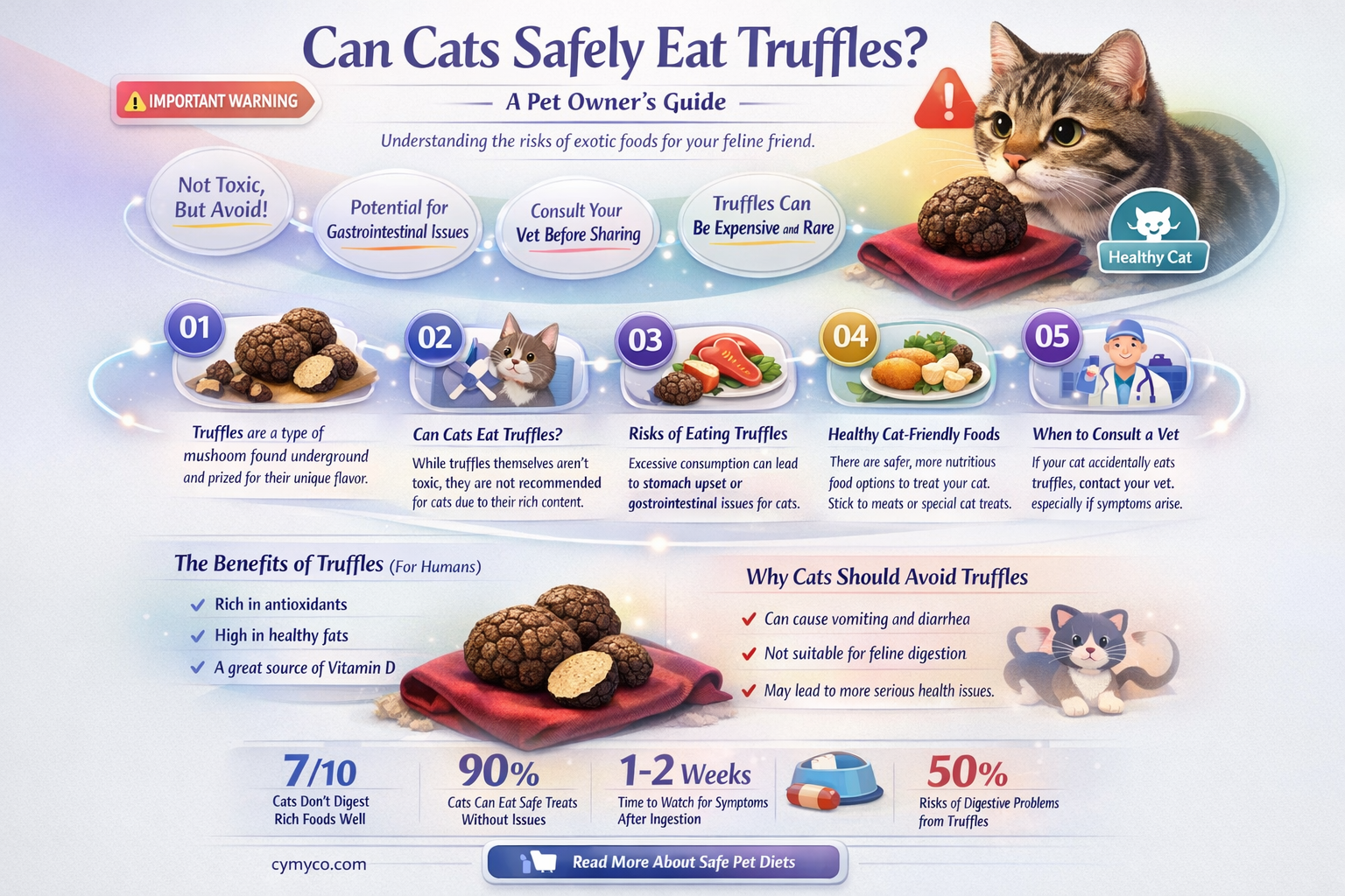 can cats have truffle