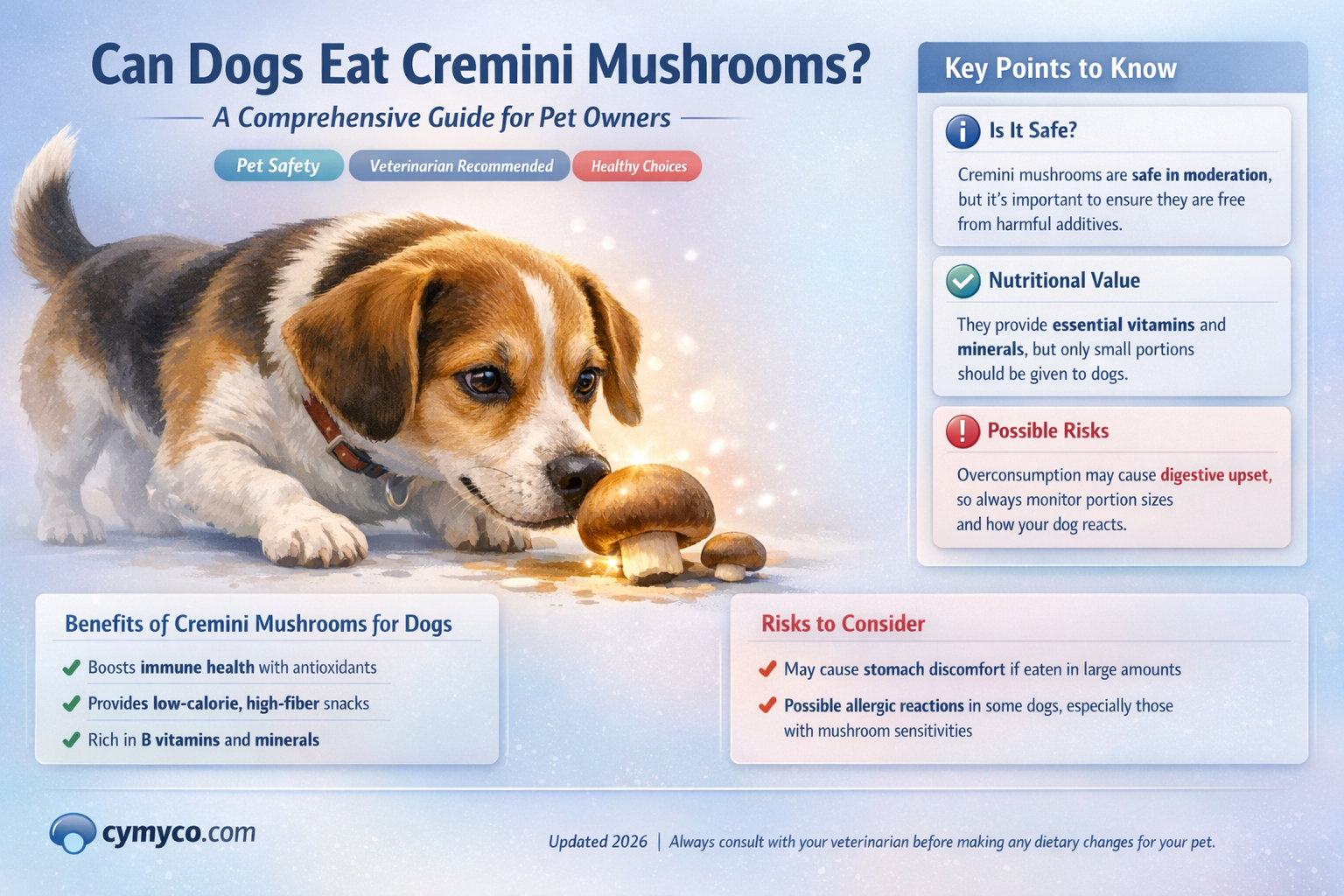 are cremini mushrooms bad for dogs