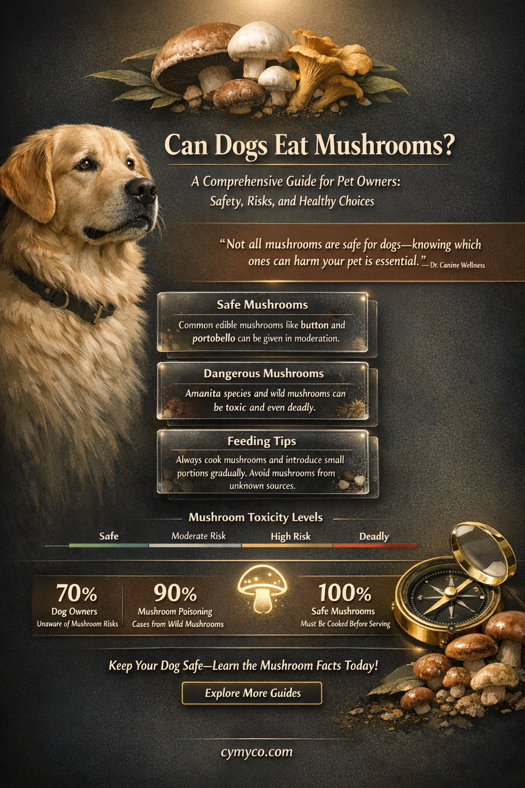 are mushrooms good for dogs to eat