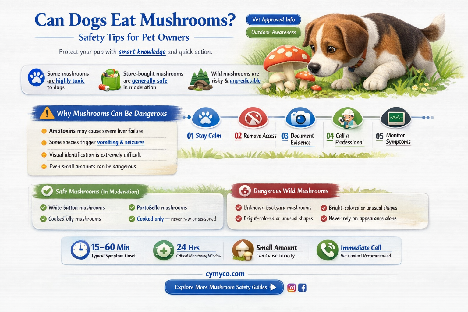 are mushrooms okay for dogs to eat