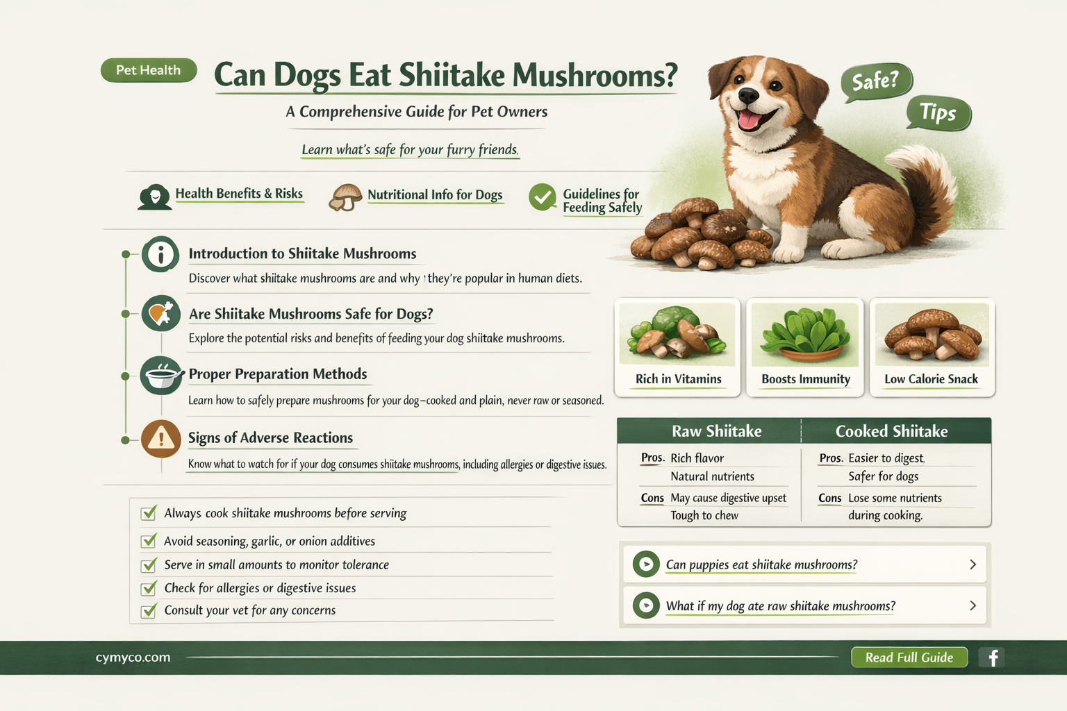 can dogs eat shiitake