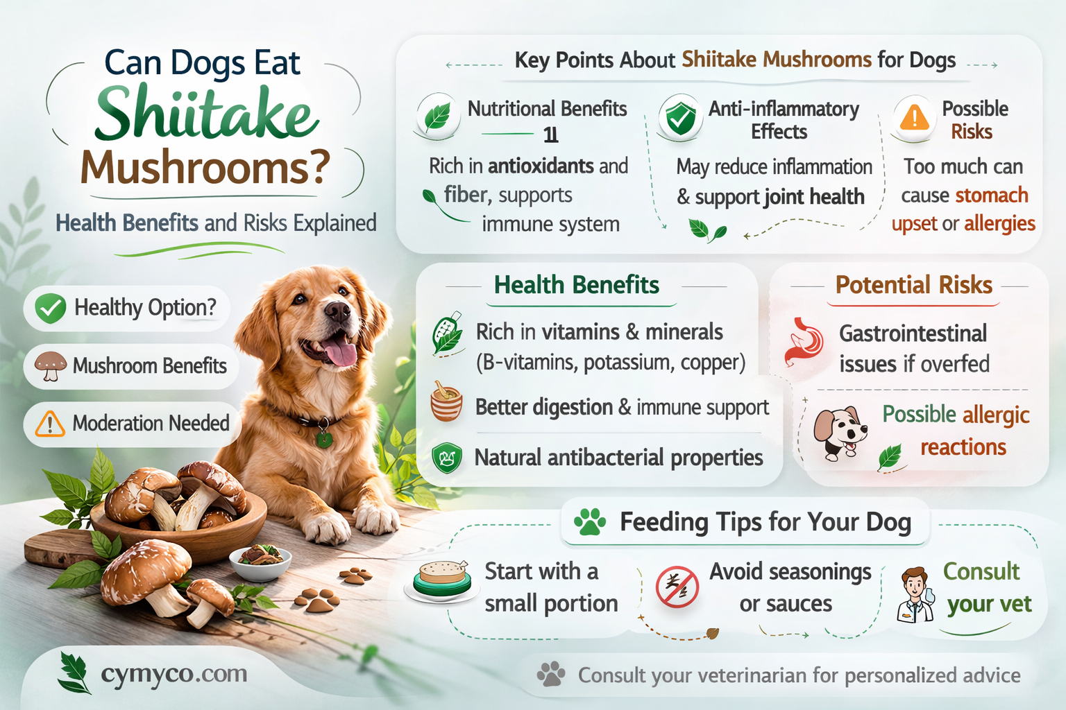 are shiitake mushrooms good for dogs
