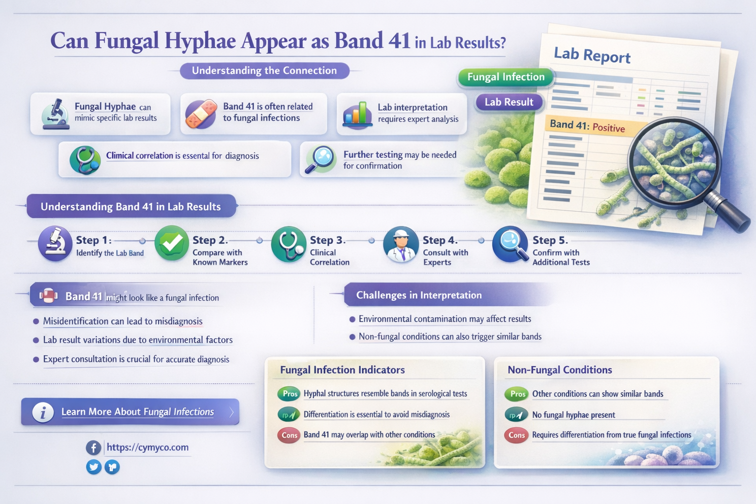 can fungal hyphae show up as band 41