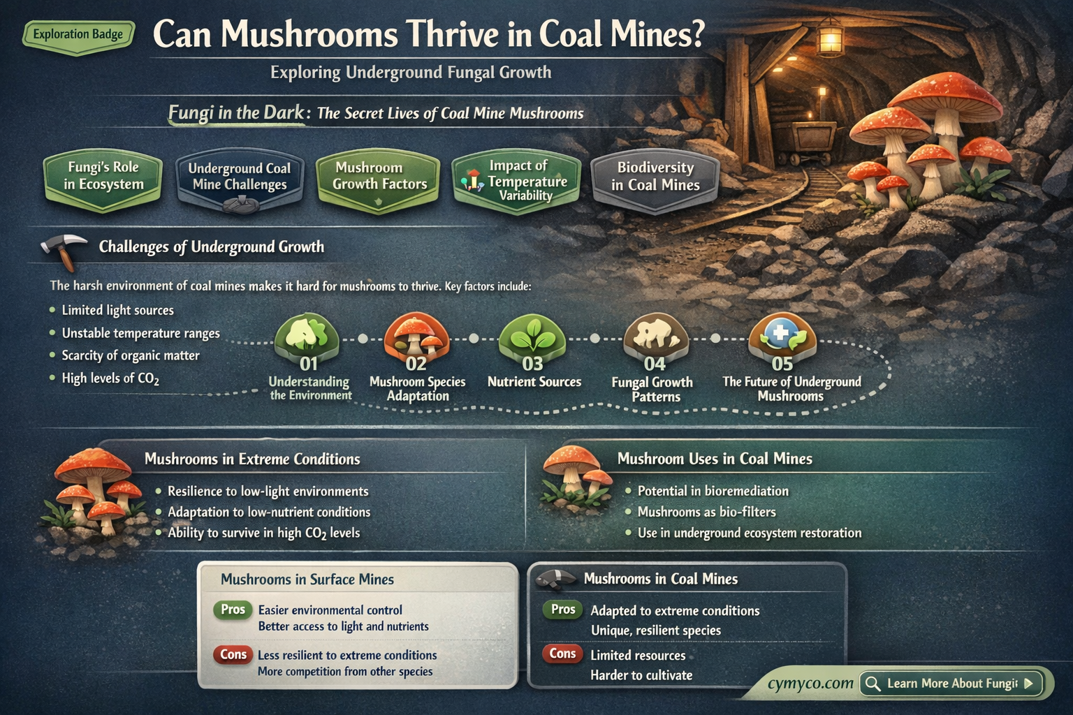 can mushrooms grow in coal mines
