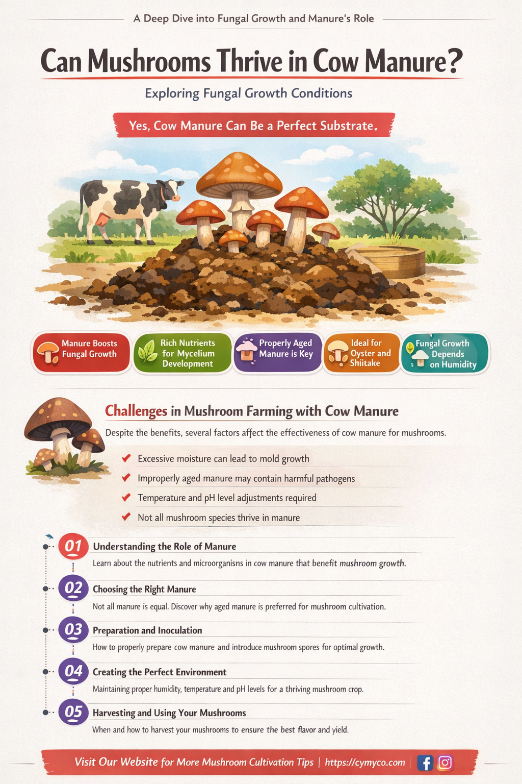 do mushrooms grow in cow manure