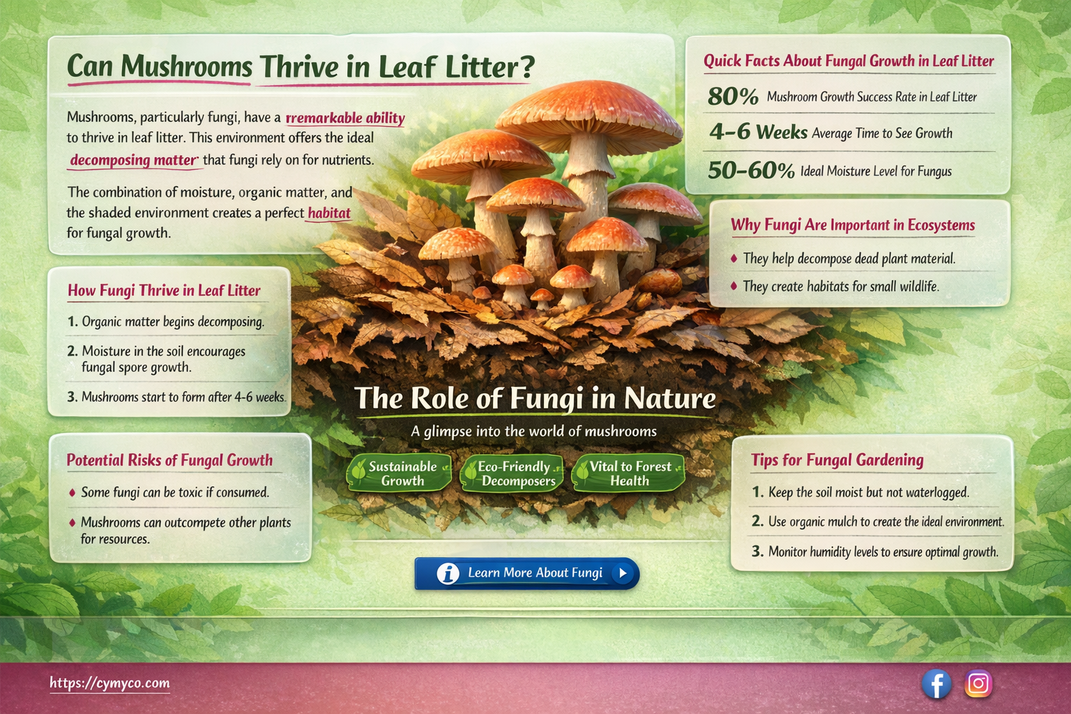 can mushrooms grow in leaves