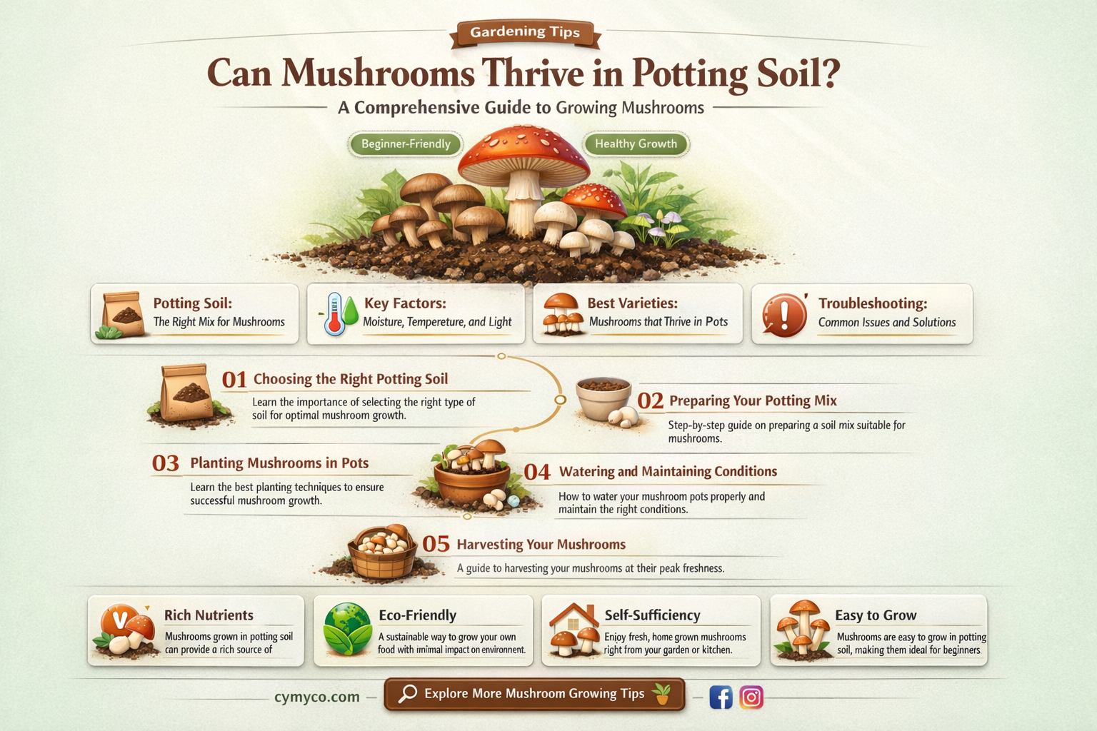 can mushrooms grow in potting soil