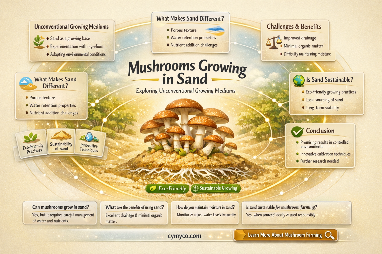 can mushrooms grow in sand