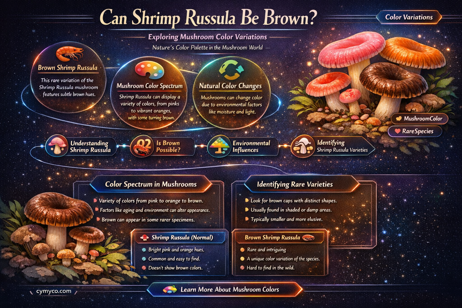 can shrimp russula be brown