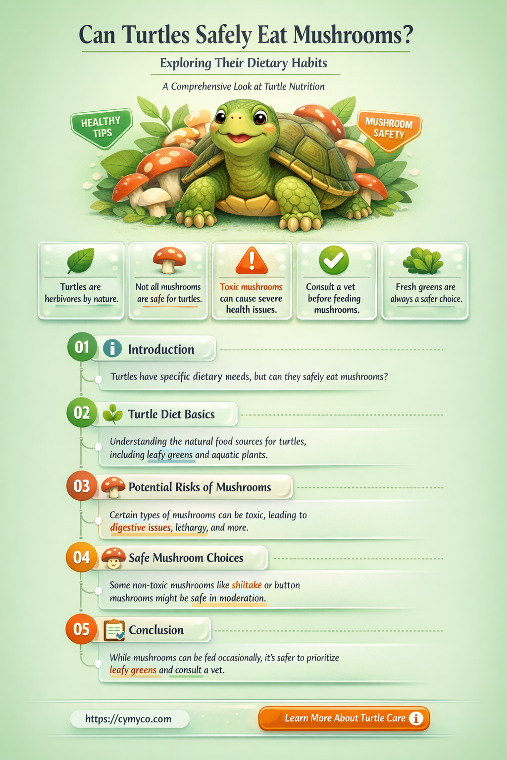 do turtles eat mushrooms