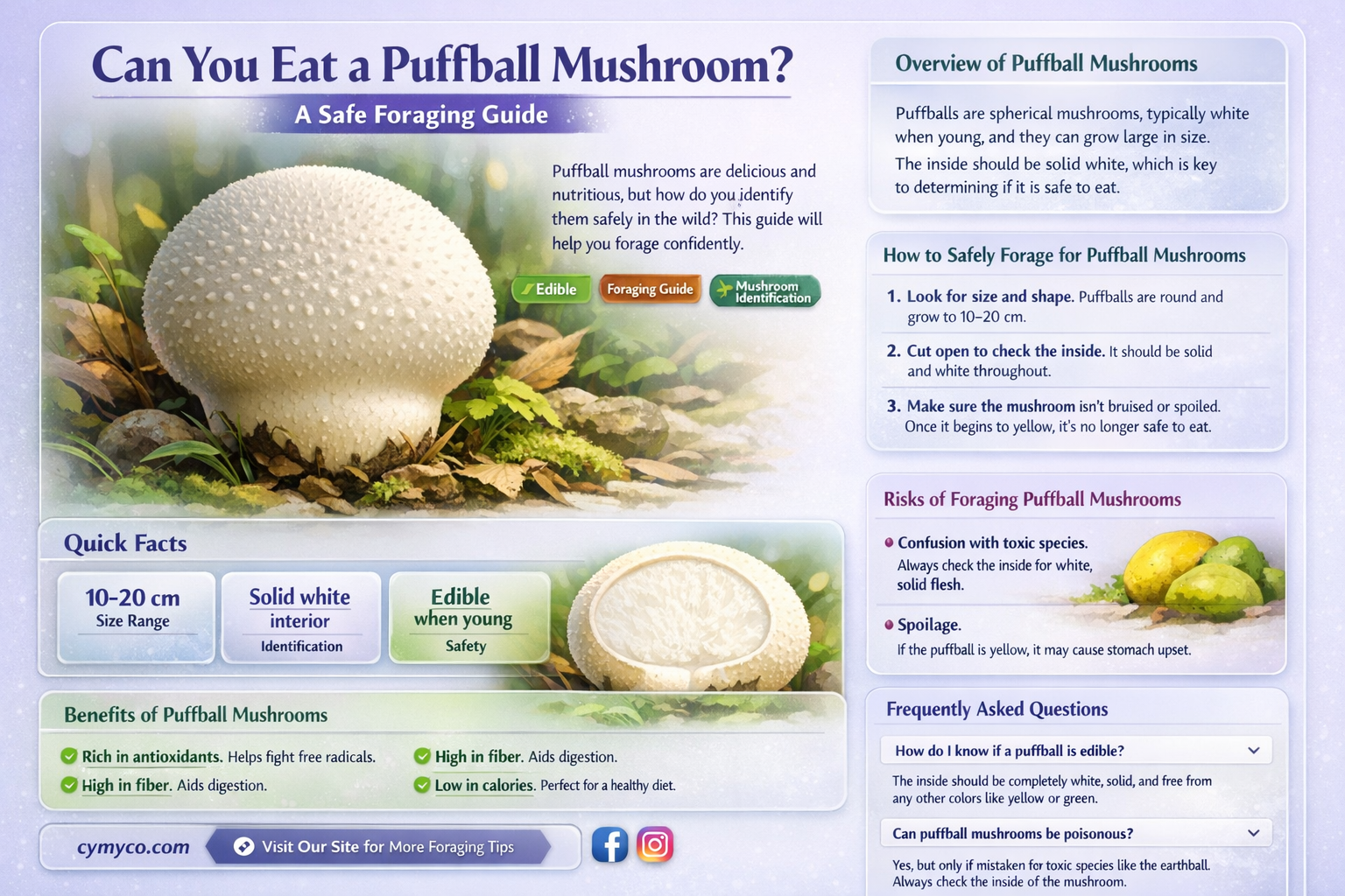can you eat a puffball mushroom