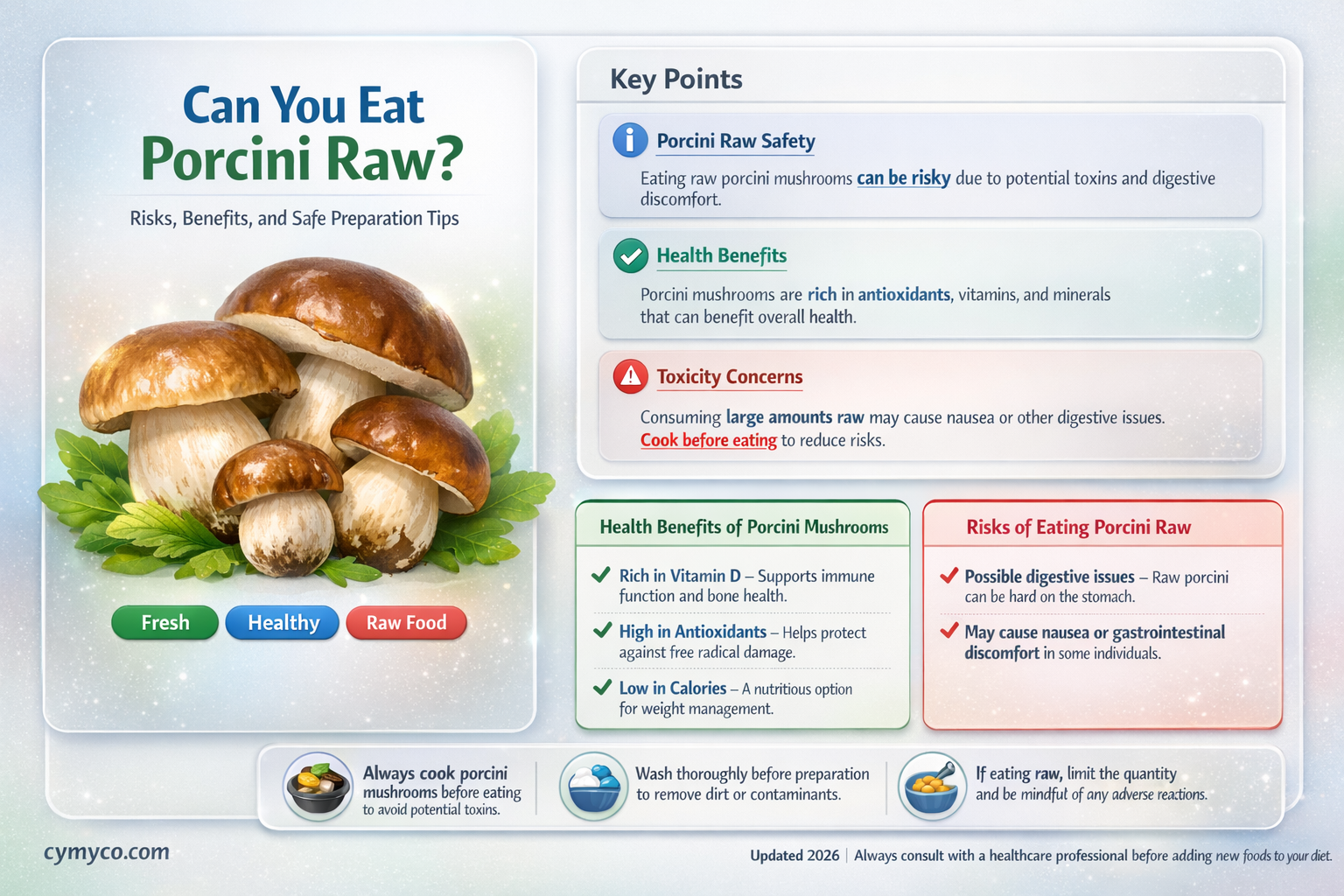 can you eat porcini raw