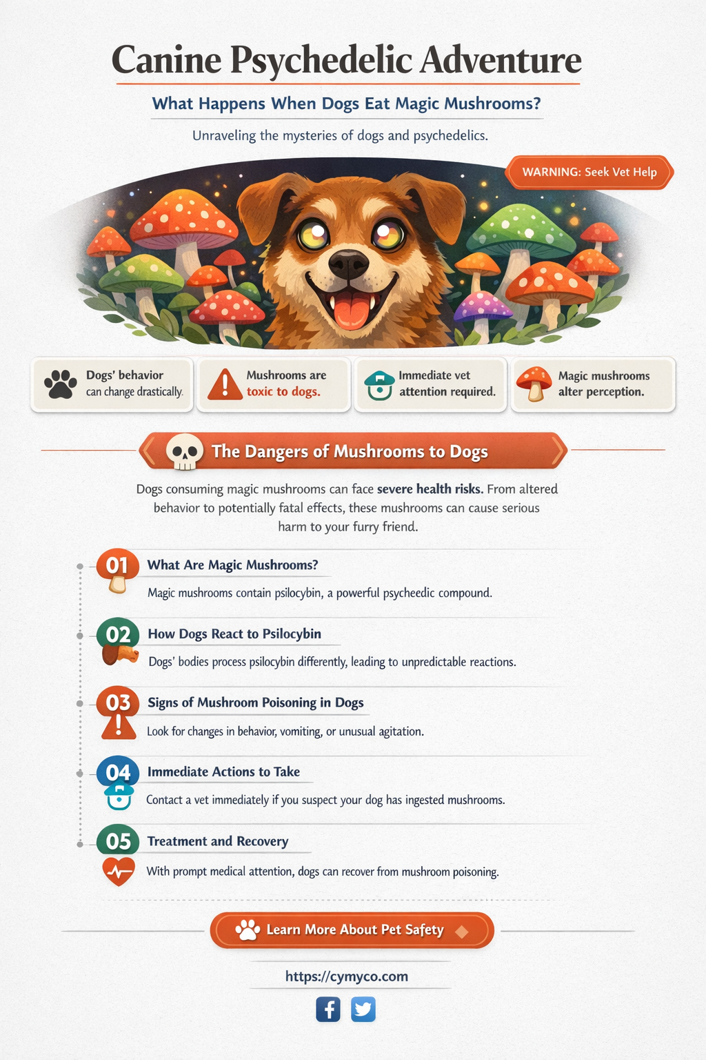 what would happen if a dog ate magic mushrooms