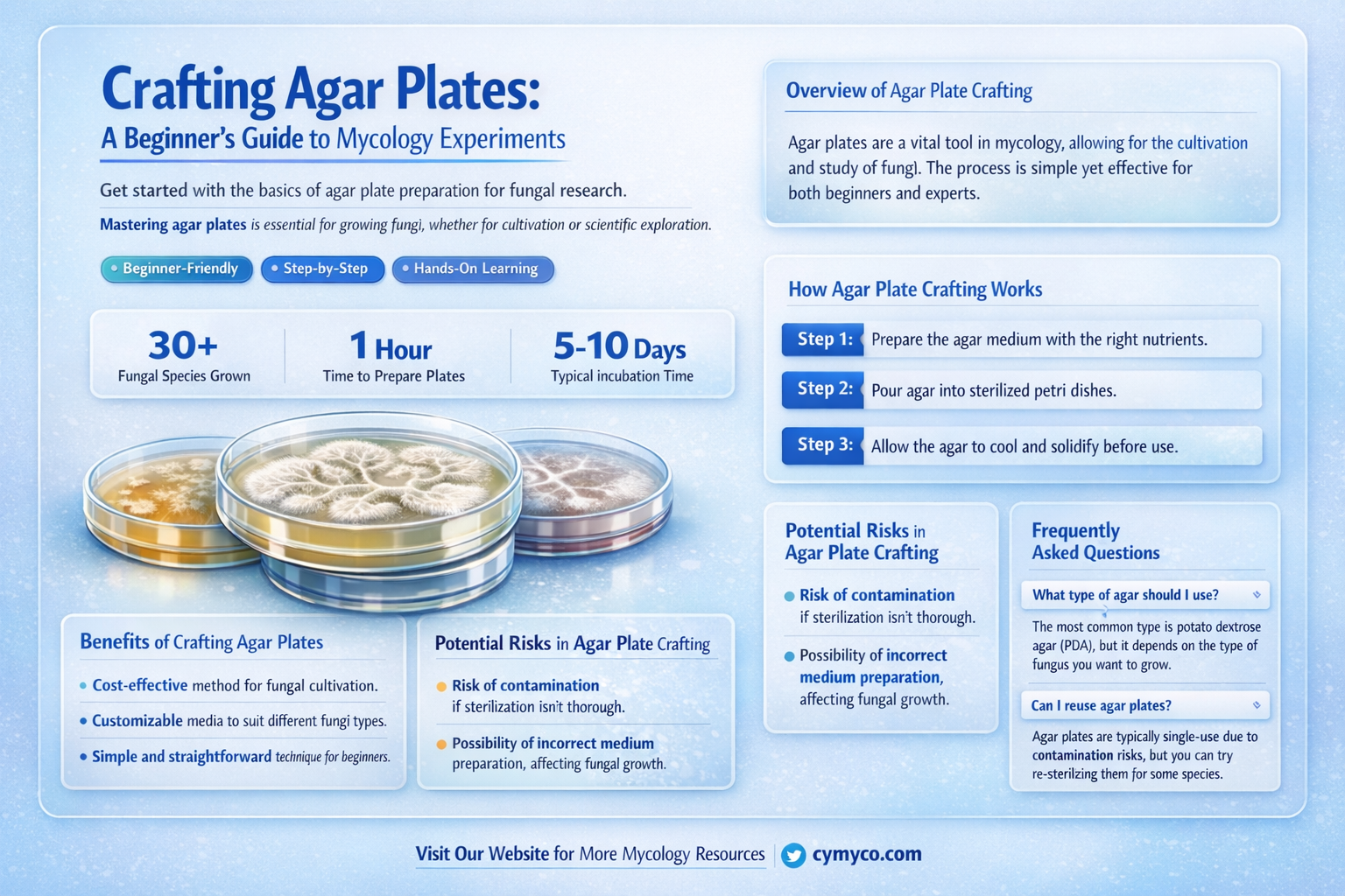 how to make agar plates for mycology