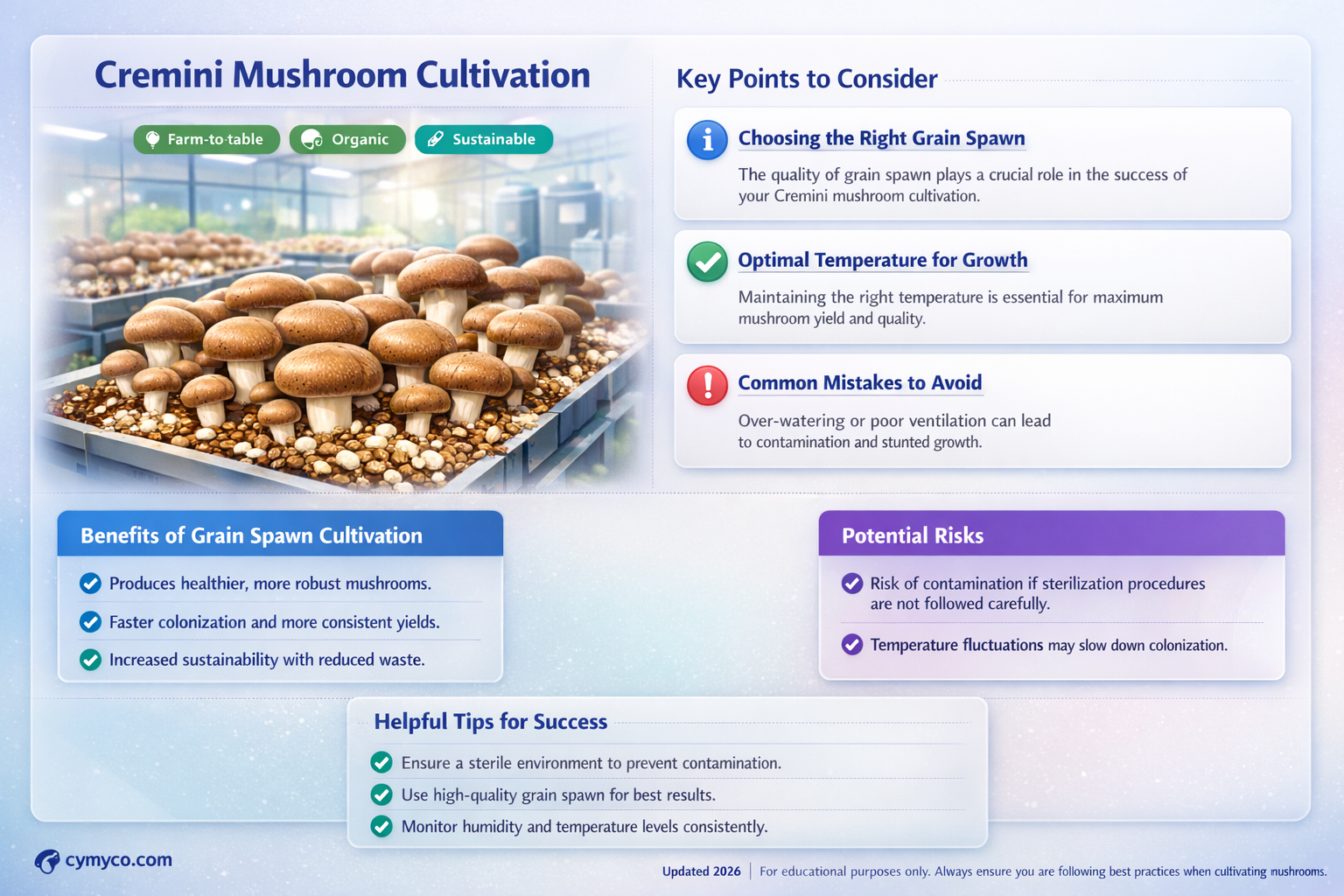 does cremini mushroom come in grain spawn