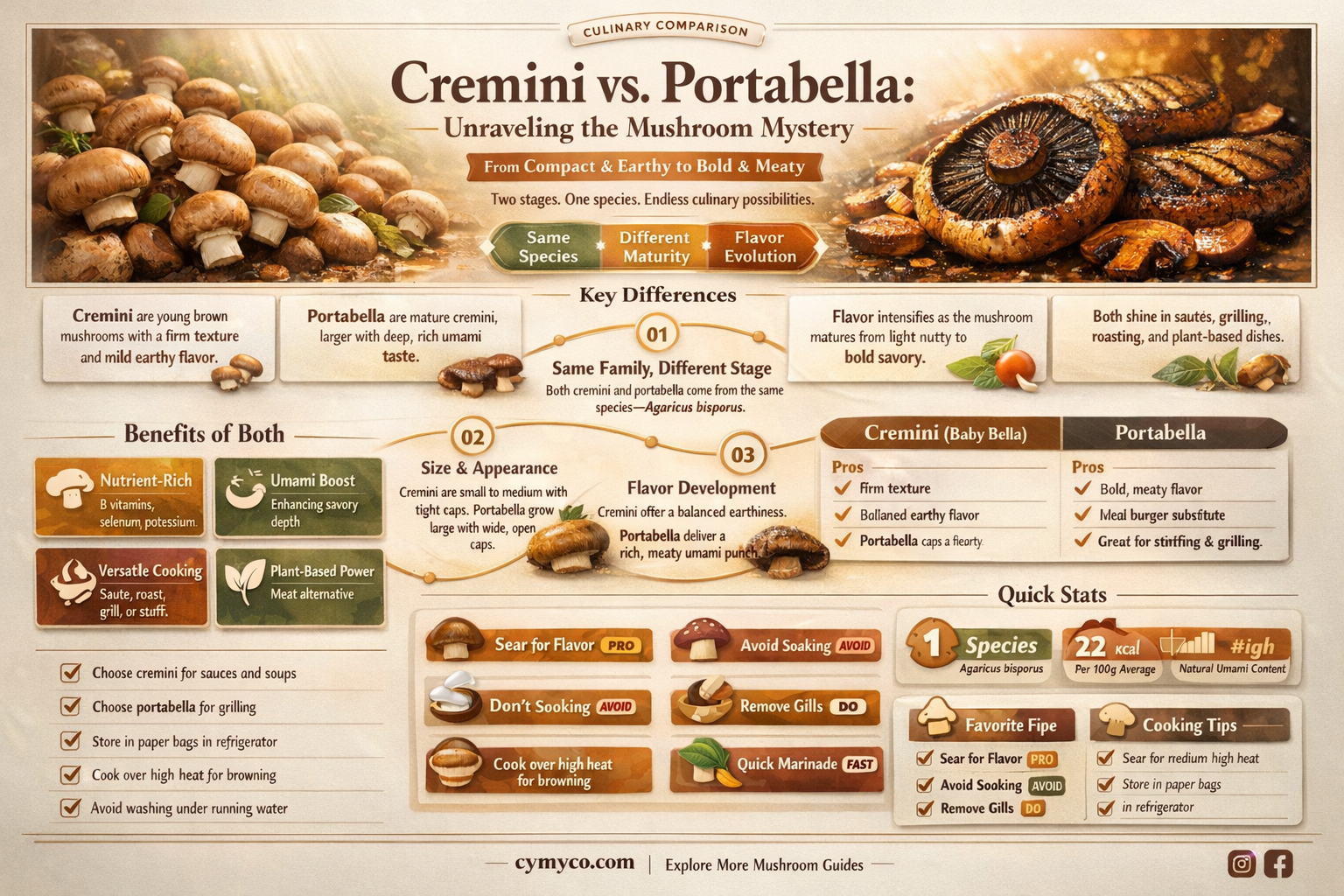 are cremini mushrooms portabella