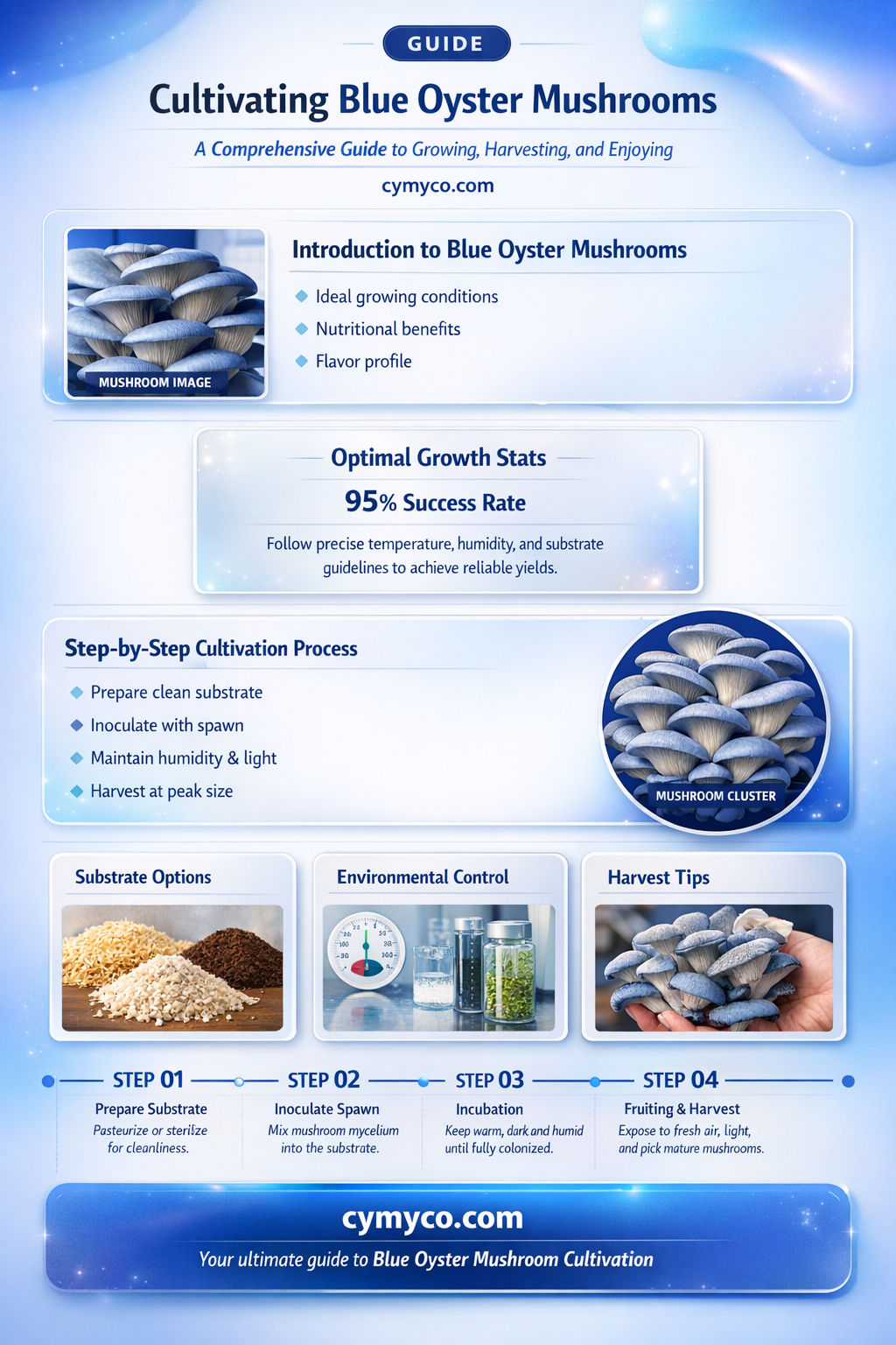 how to grow blue oyster mushrooms