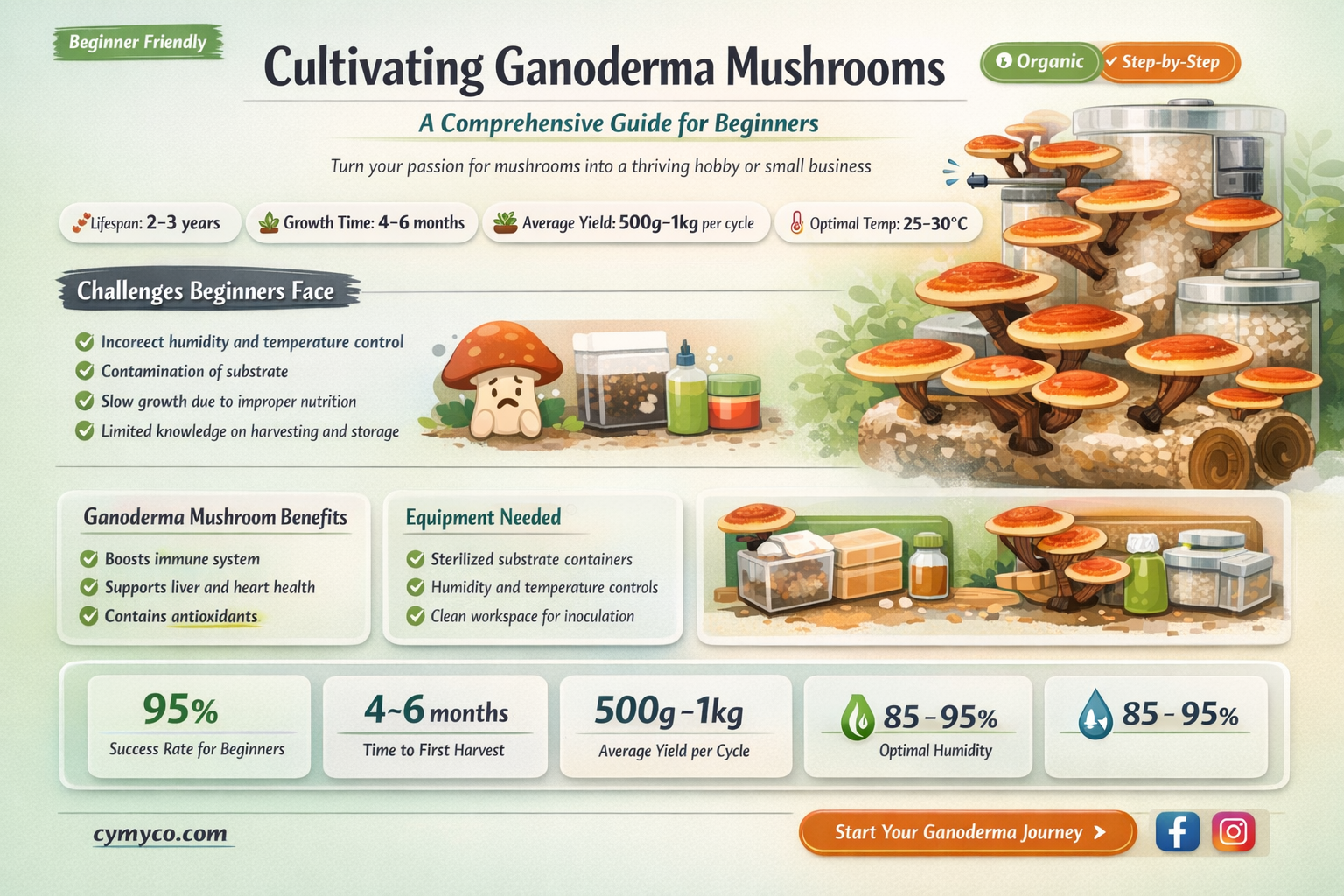 how to grow ganoderma mushroom