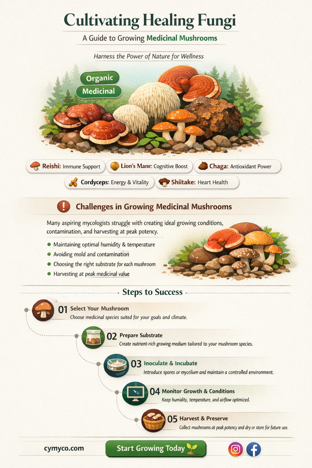 how to grow medicinal mushrooms