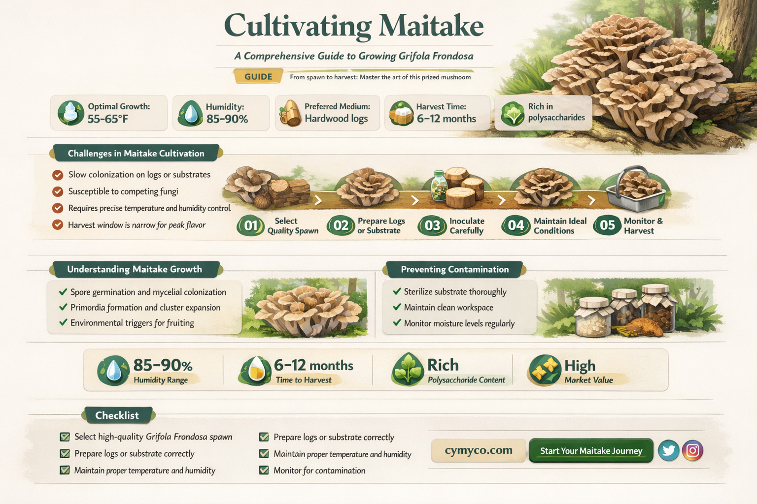how to grow grifola frondosa maitake