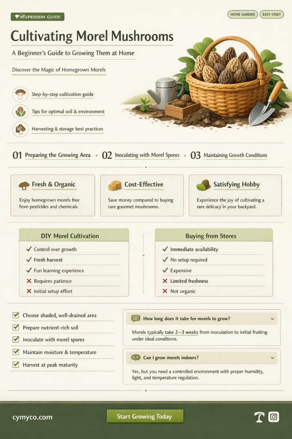 can you grow morels at home