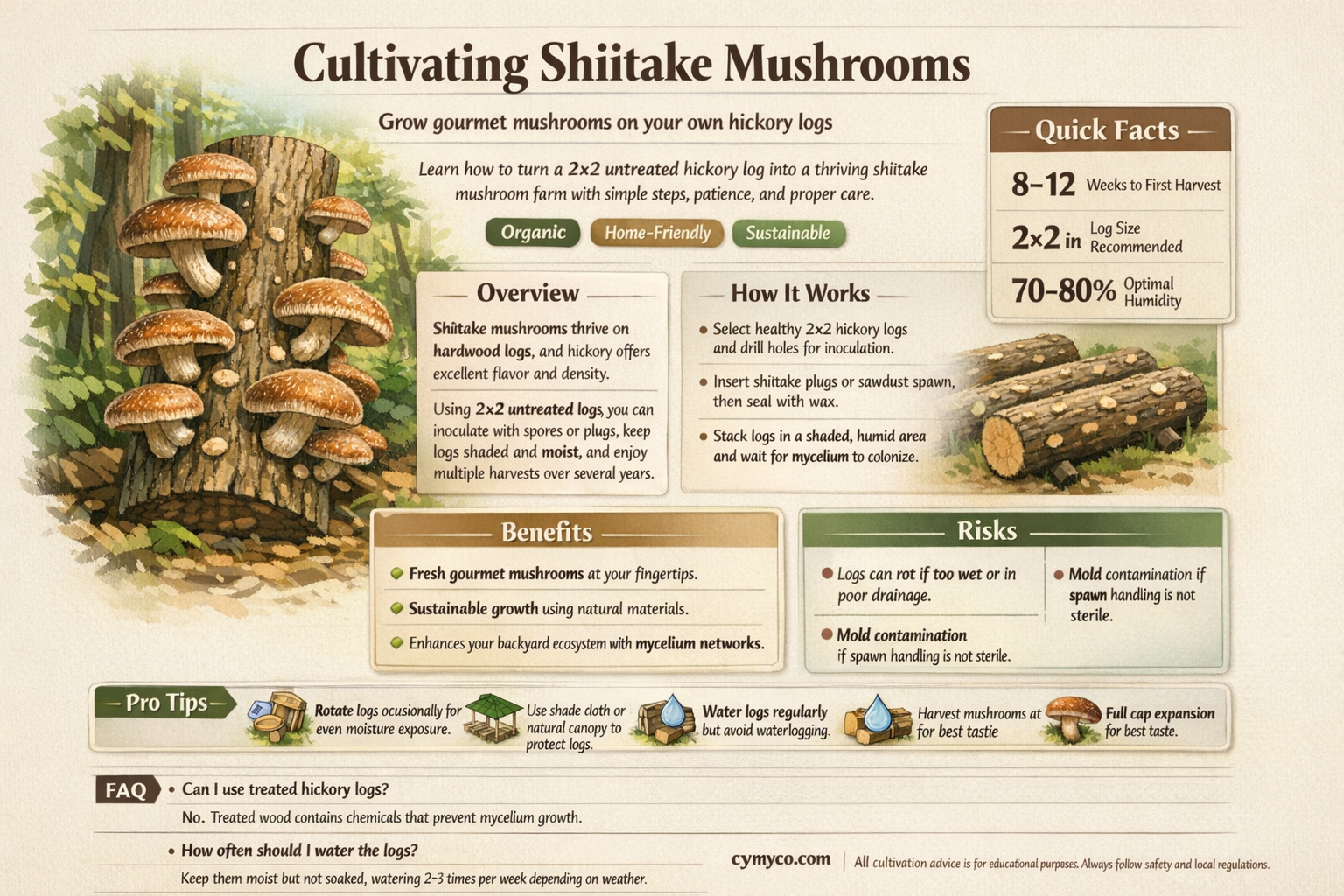 can i produce shiitake in a 2x2 untreated hickory
