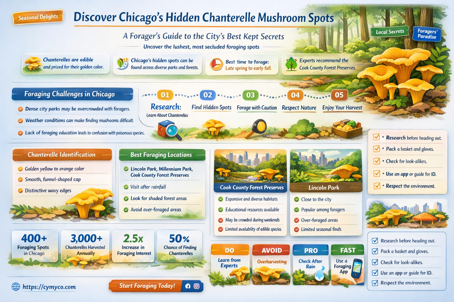 where to find chabterelle mushrooms in chicago