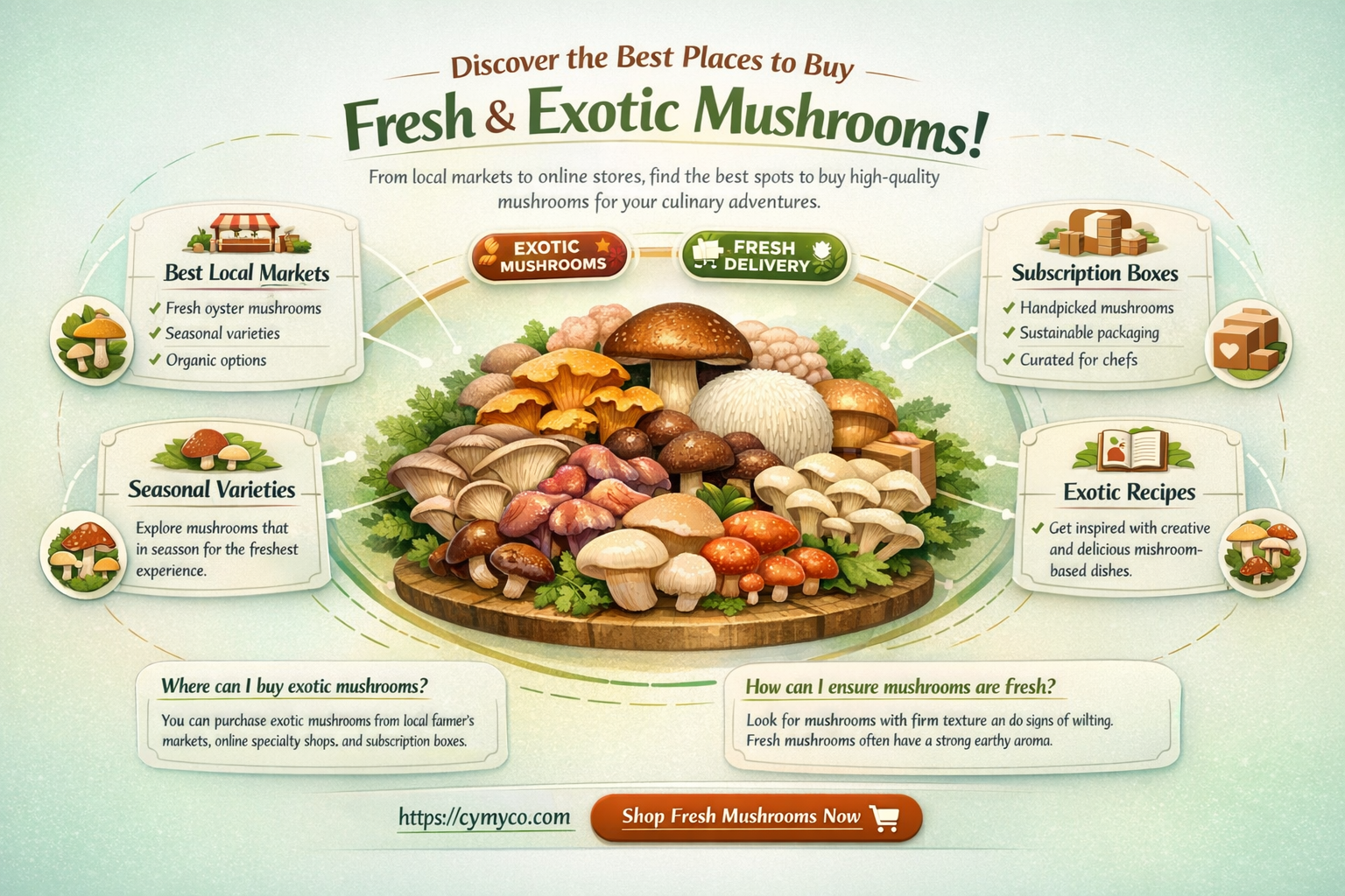 where to buy mushroom