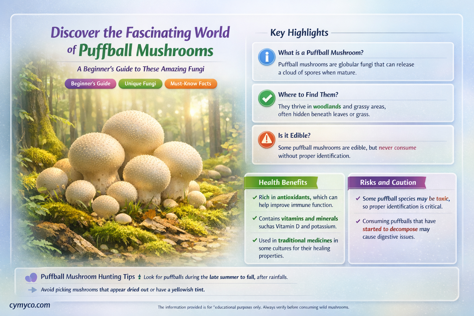 what is a puffball mushroom