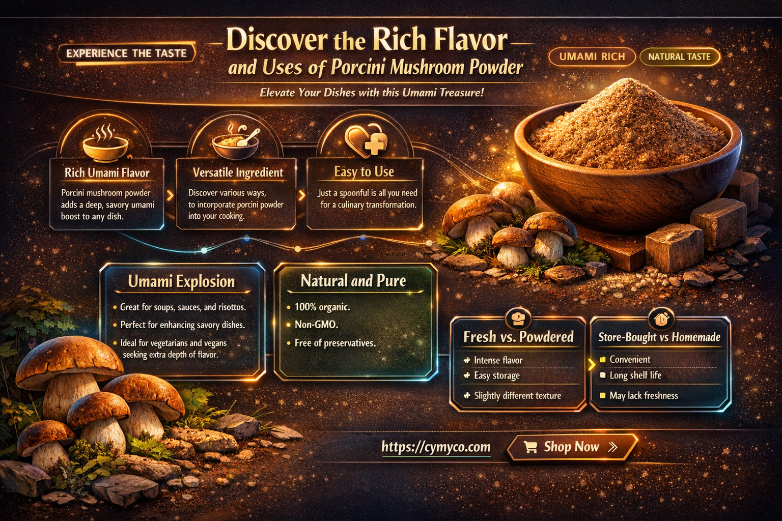 what is porcini powder