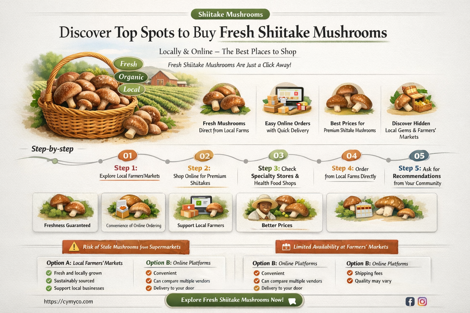 where to buy shiitake mushrooms