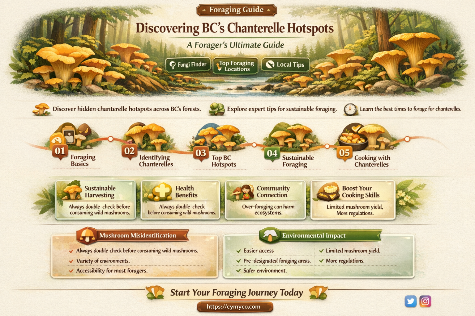 where to find chanterelle mushrooms in bc