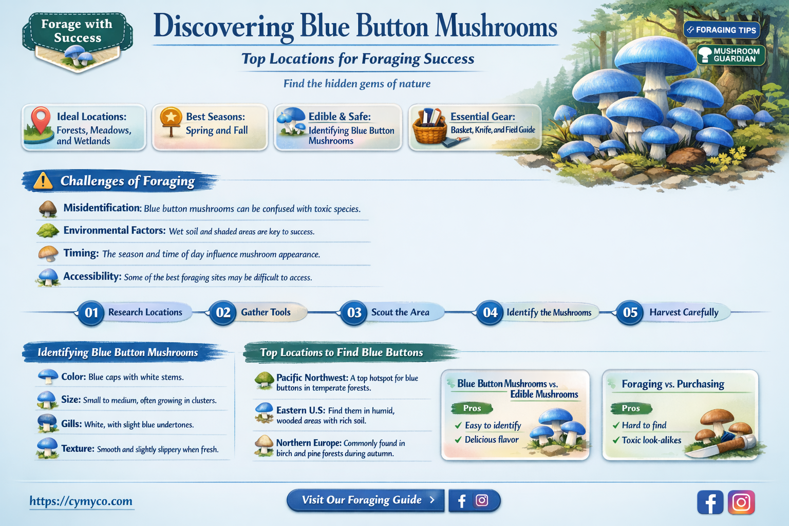 where to find blue button mushrooms