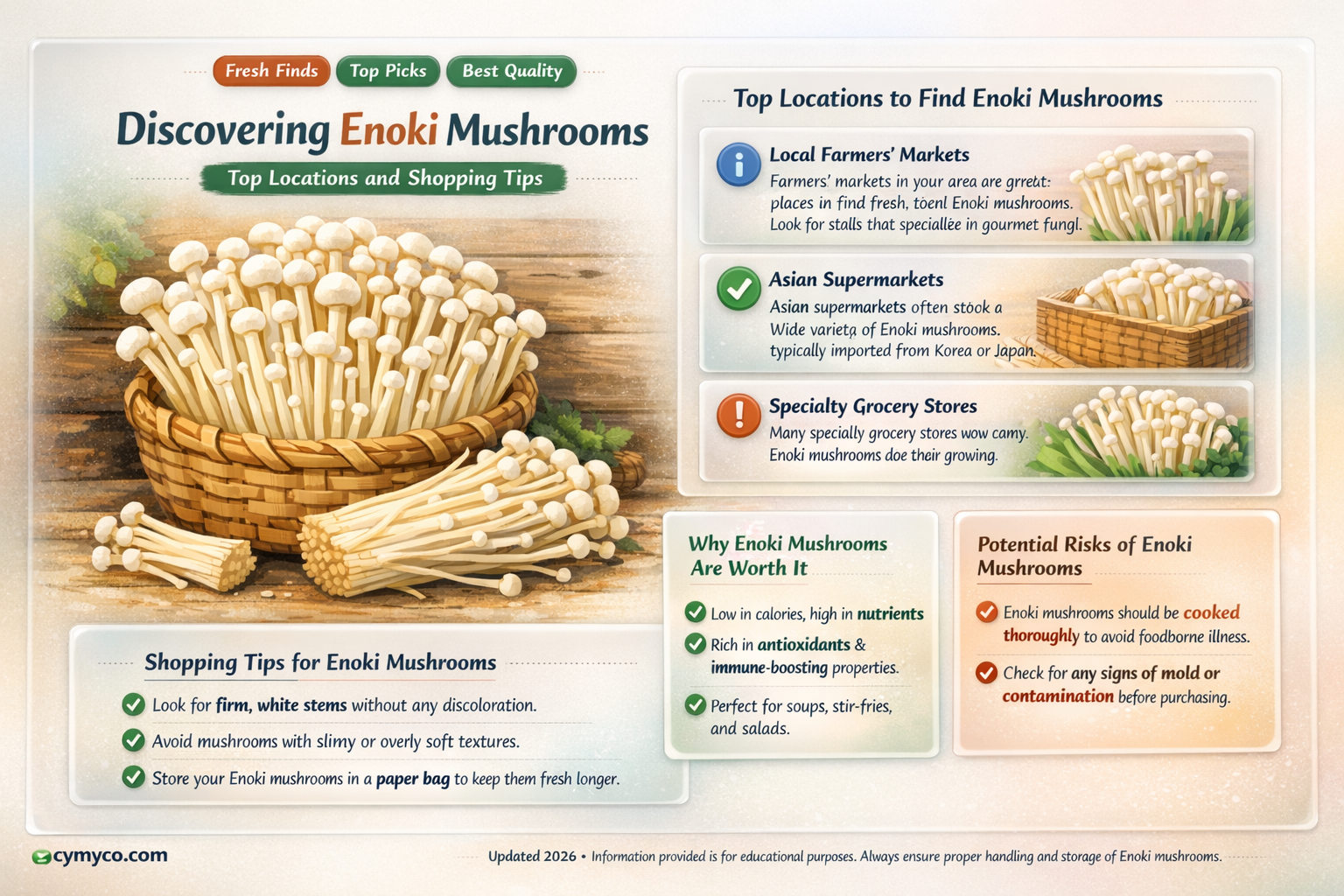 where to find enoki mushrooms