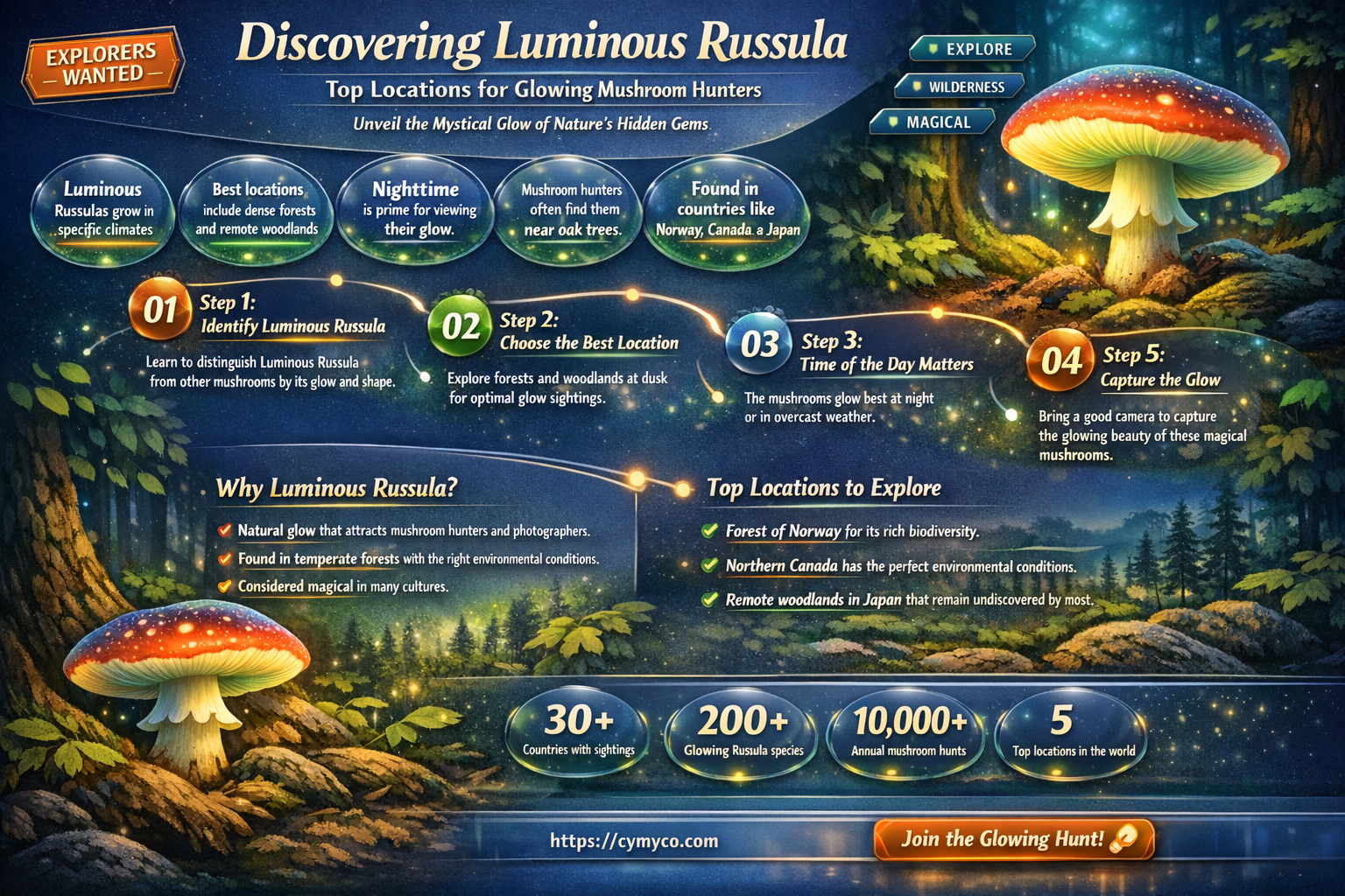 where to find luminous russula