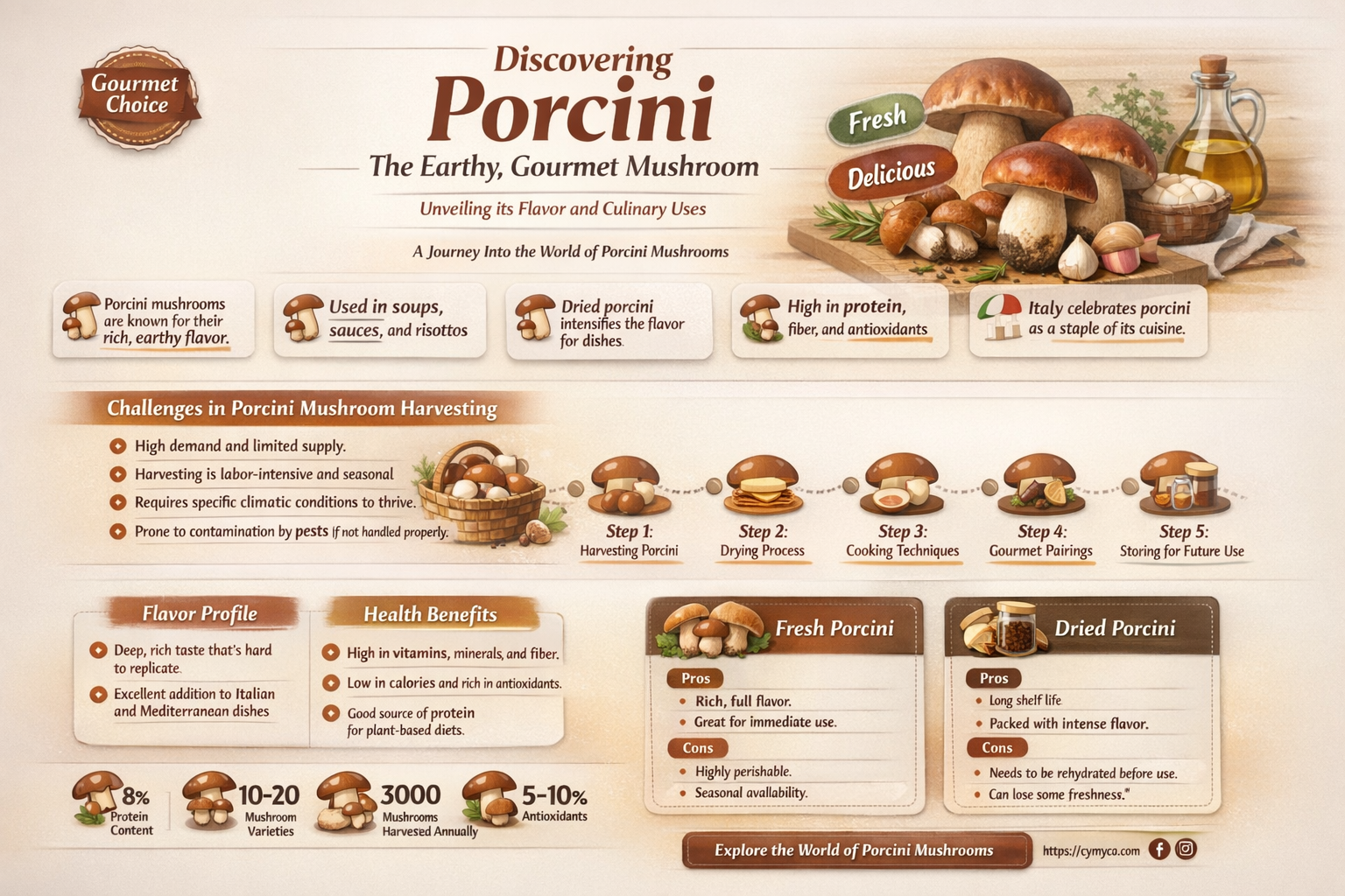 what is a porcini