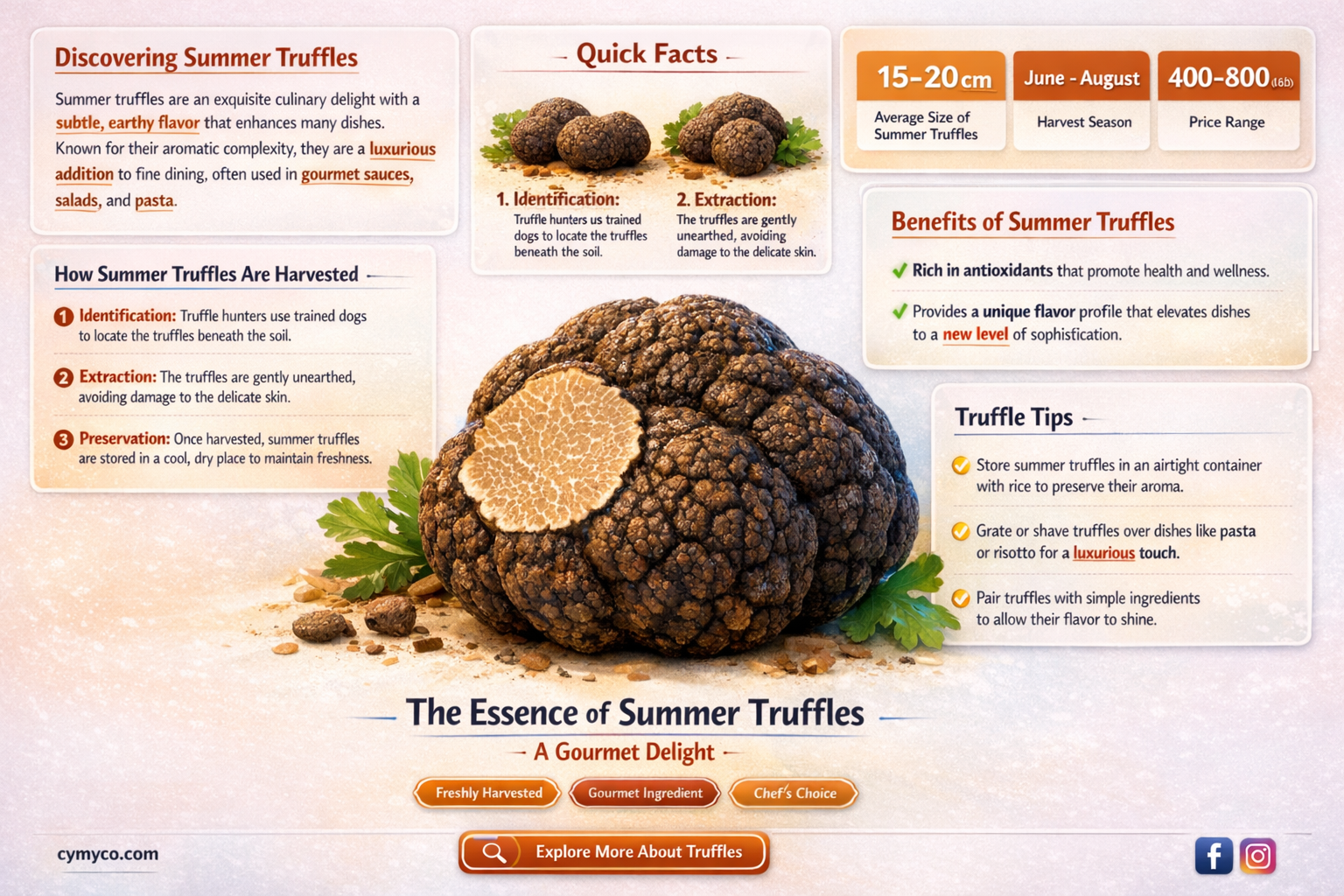 what are summer truffles