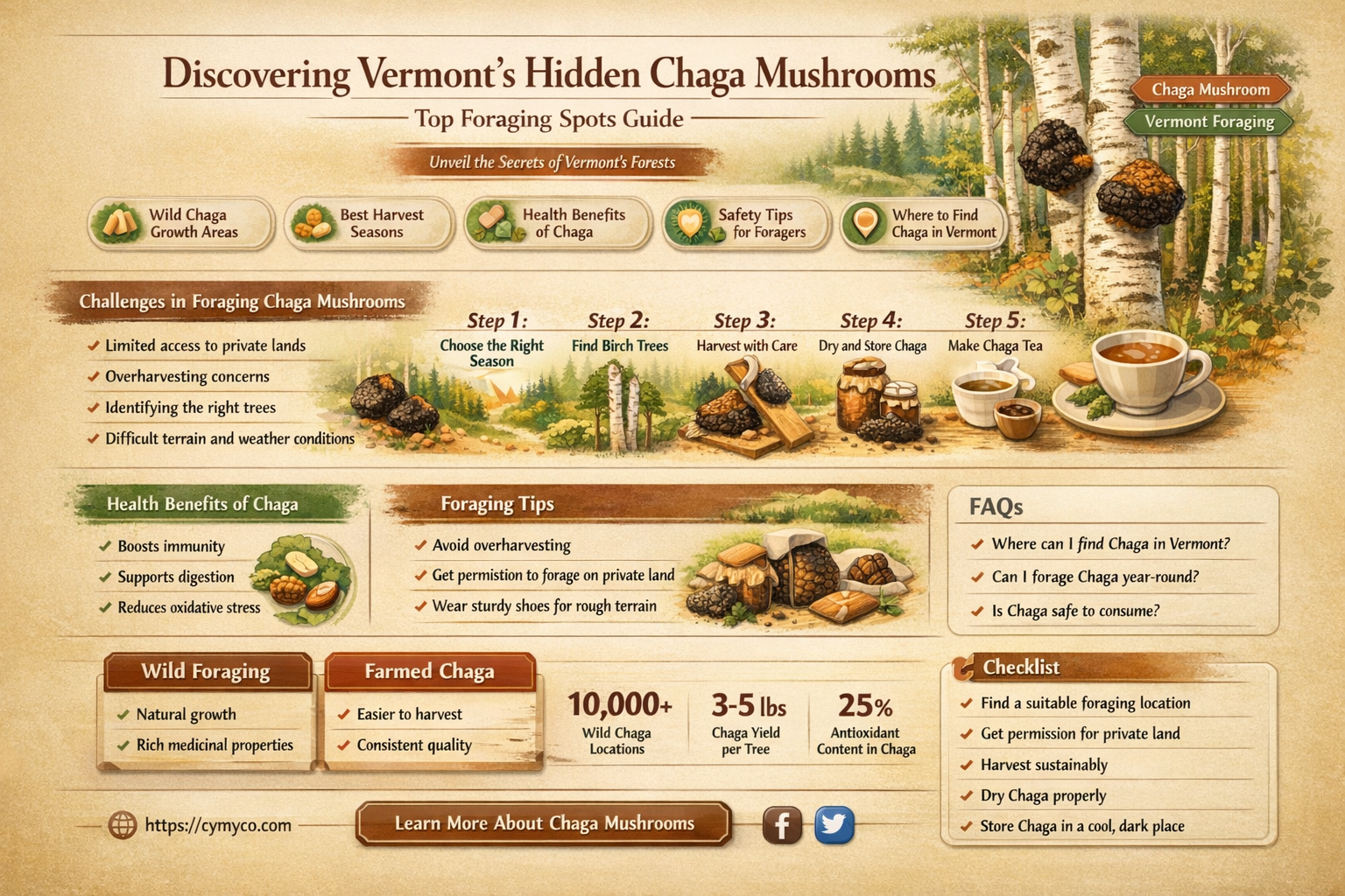 where to find chaga mushrooms in vermont