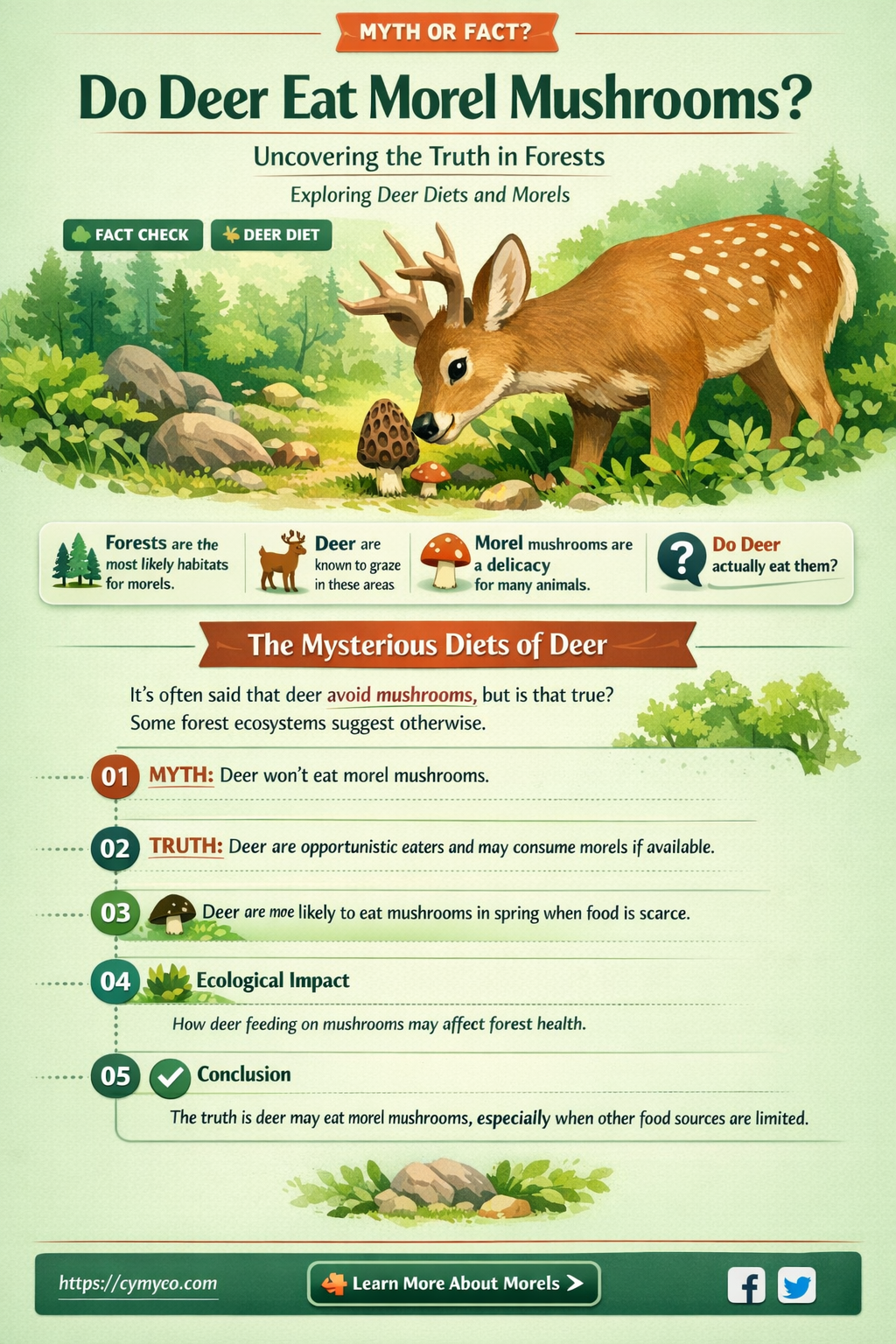 do deer eat morel mushrooms