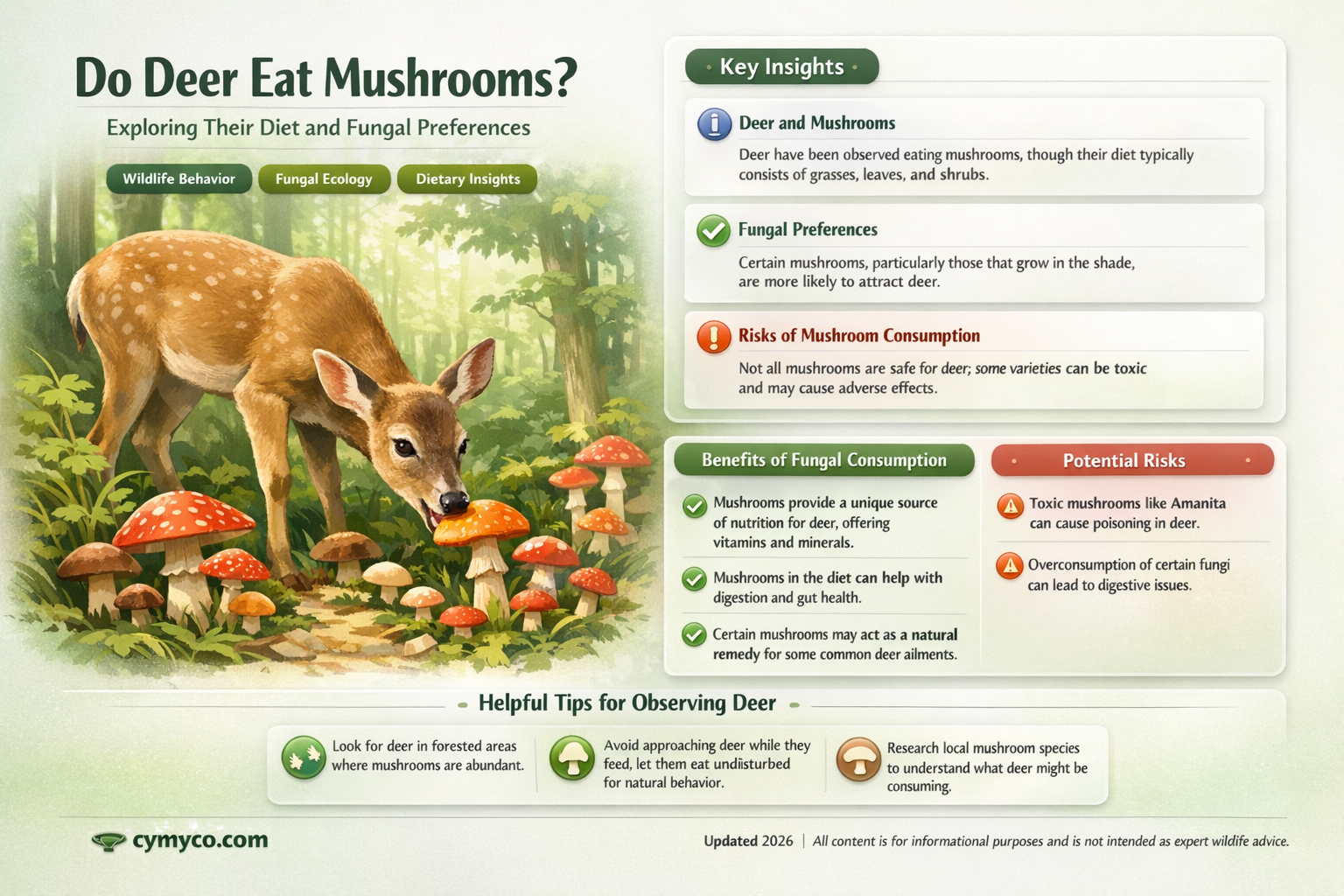does deer eat mushrooms