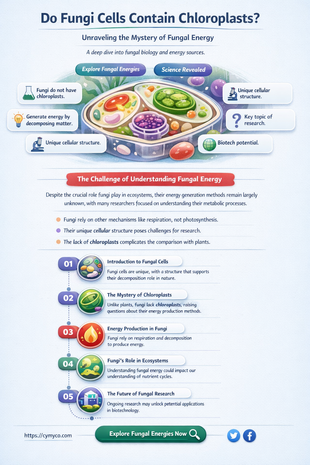 do fungi cells have chloroplasts
