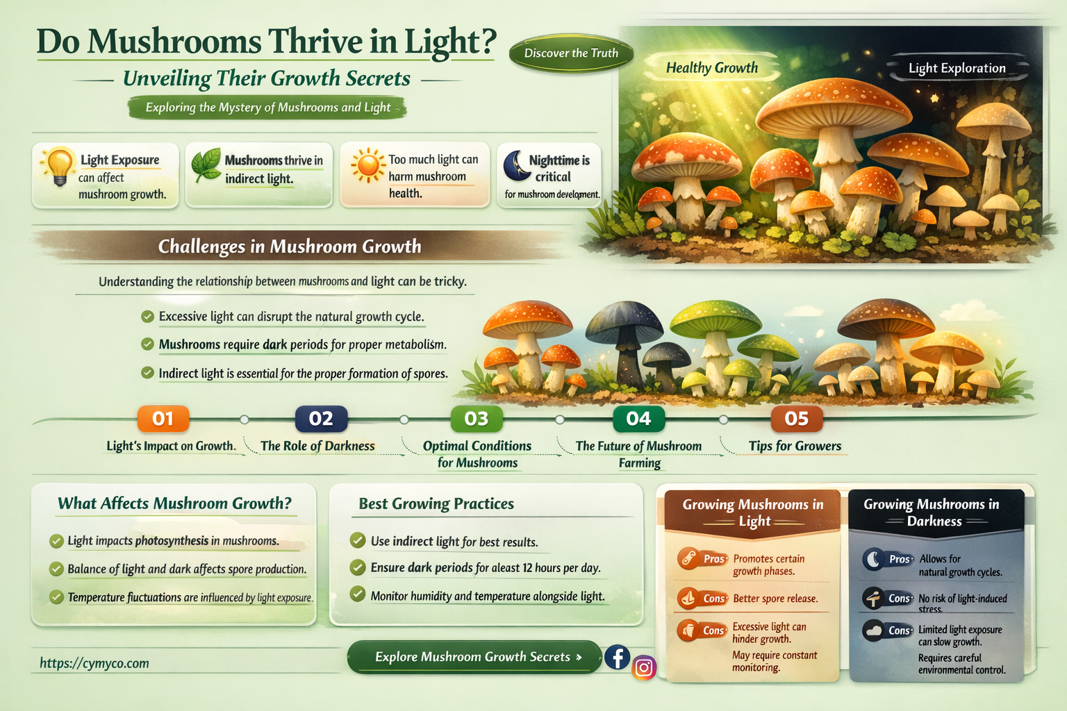can mushrooms grow in light